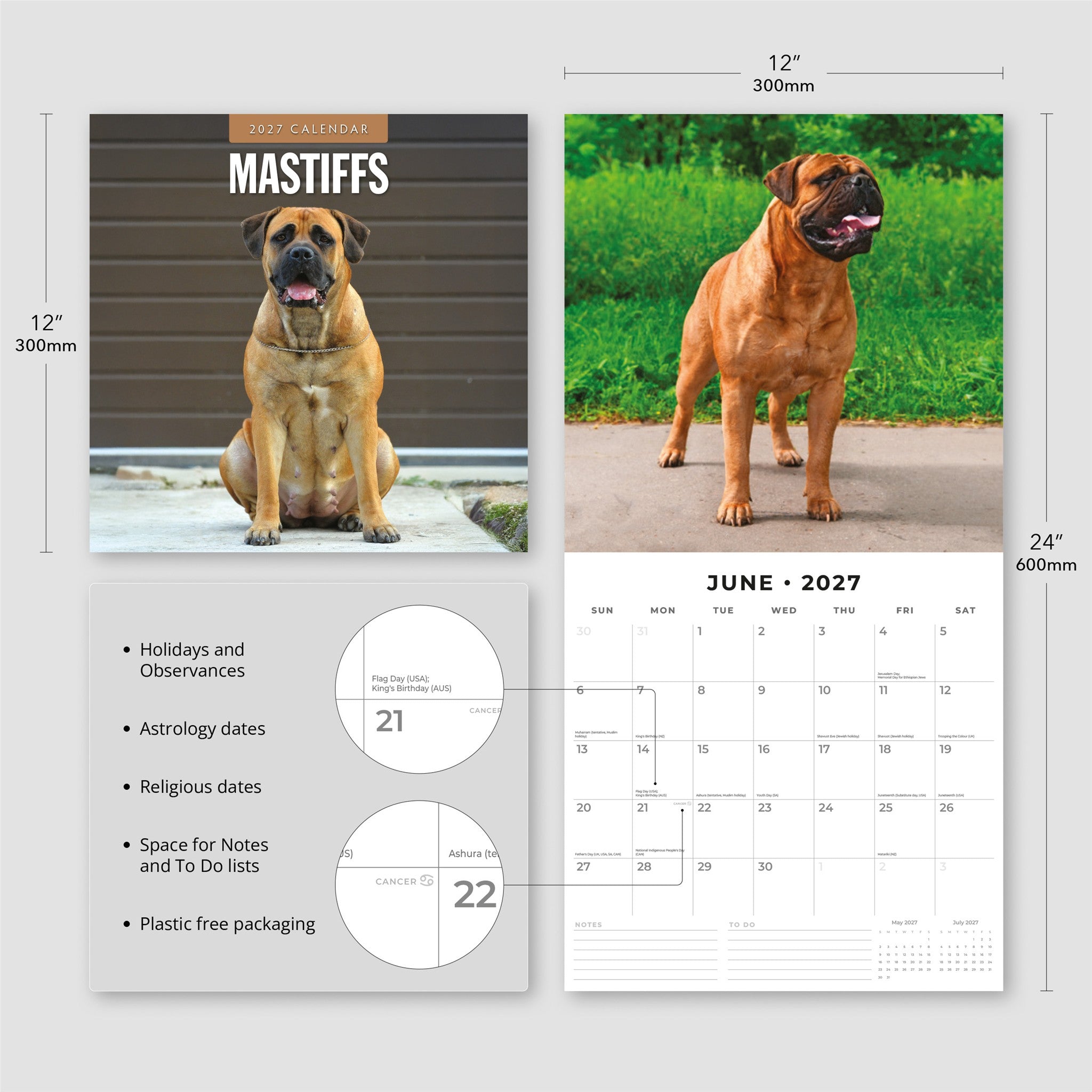 Calendrier mural Mastiffs 2027