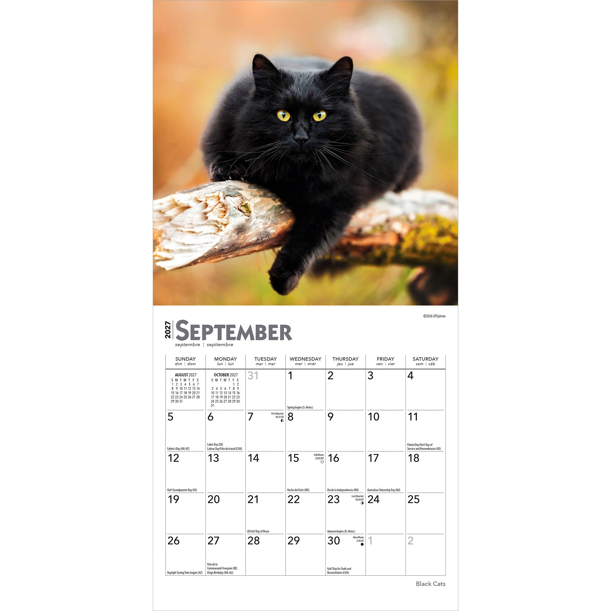 Black Cats 2027 Mini Calendar