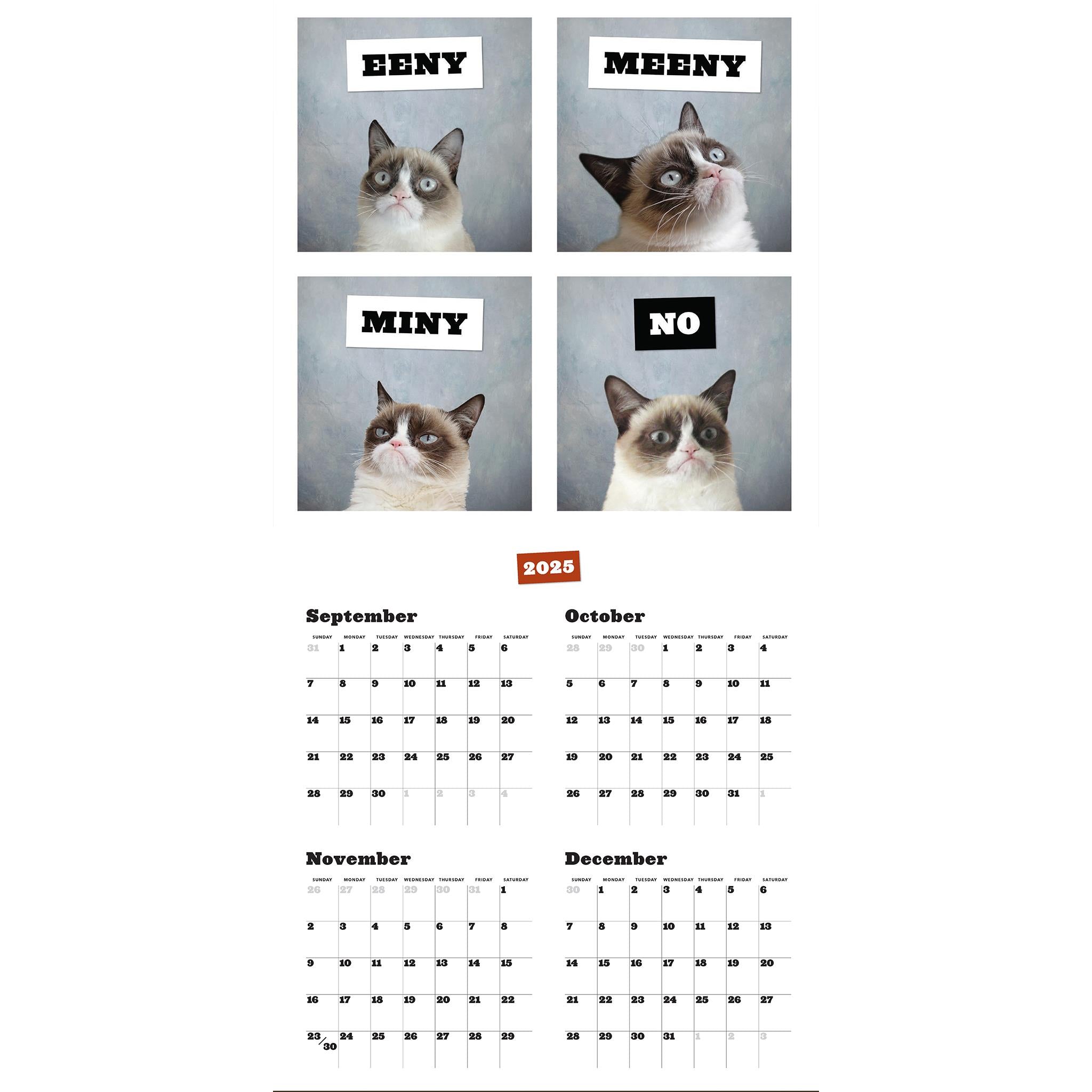 Calendrier mural Grumpy Cat 2026