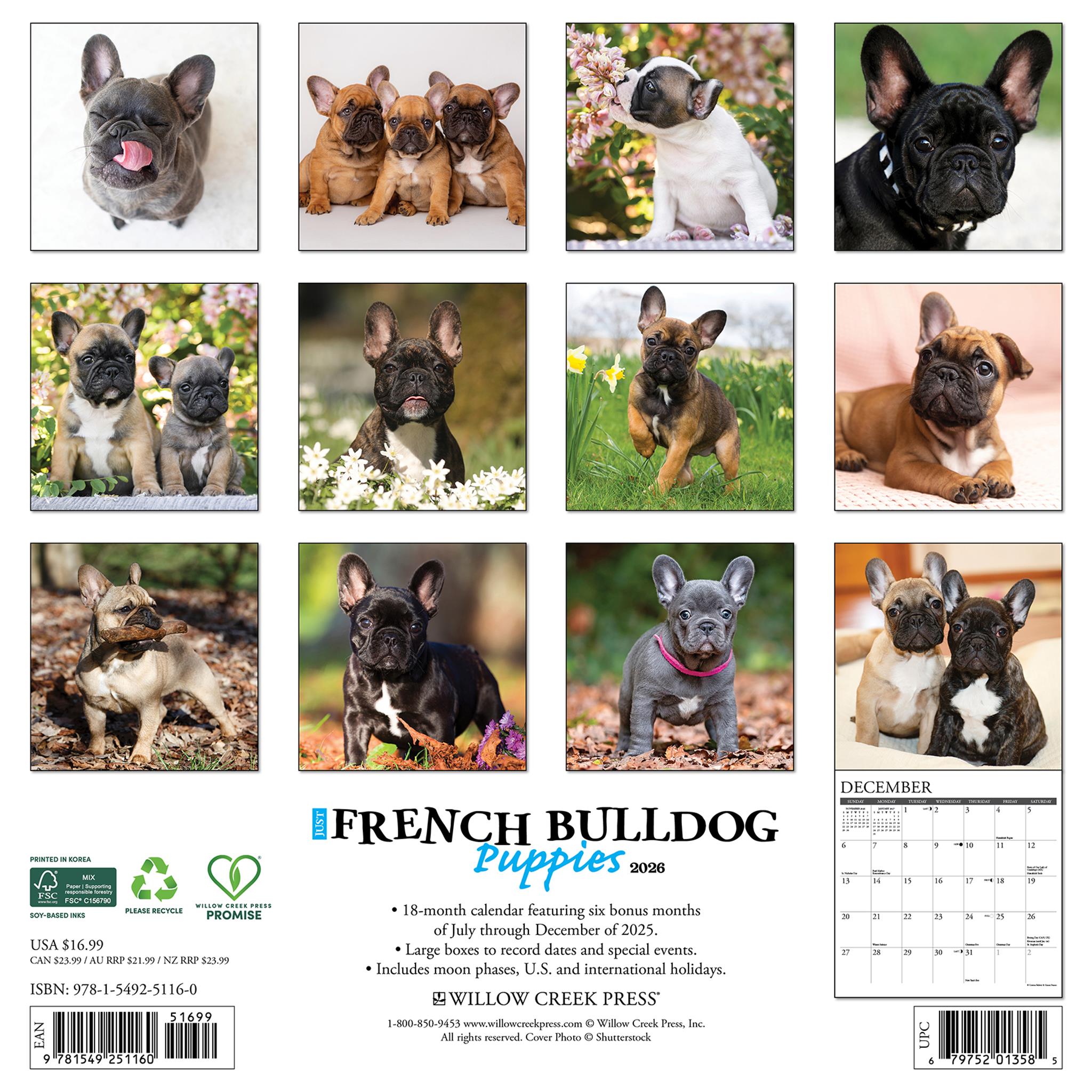Calendrier mural 2026 « Just French Bulldog Puppies »