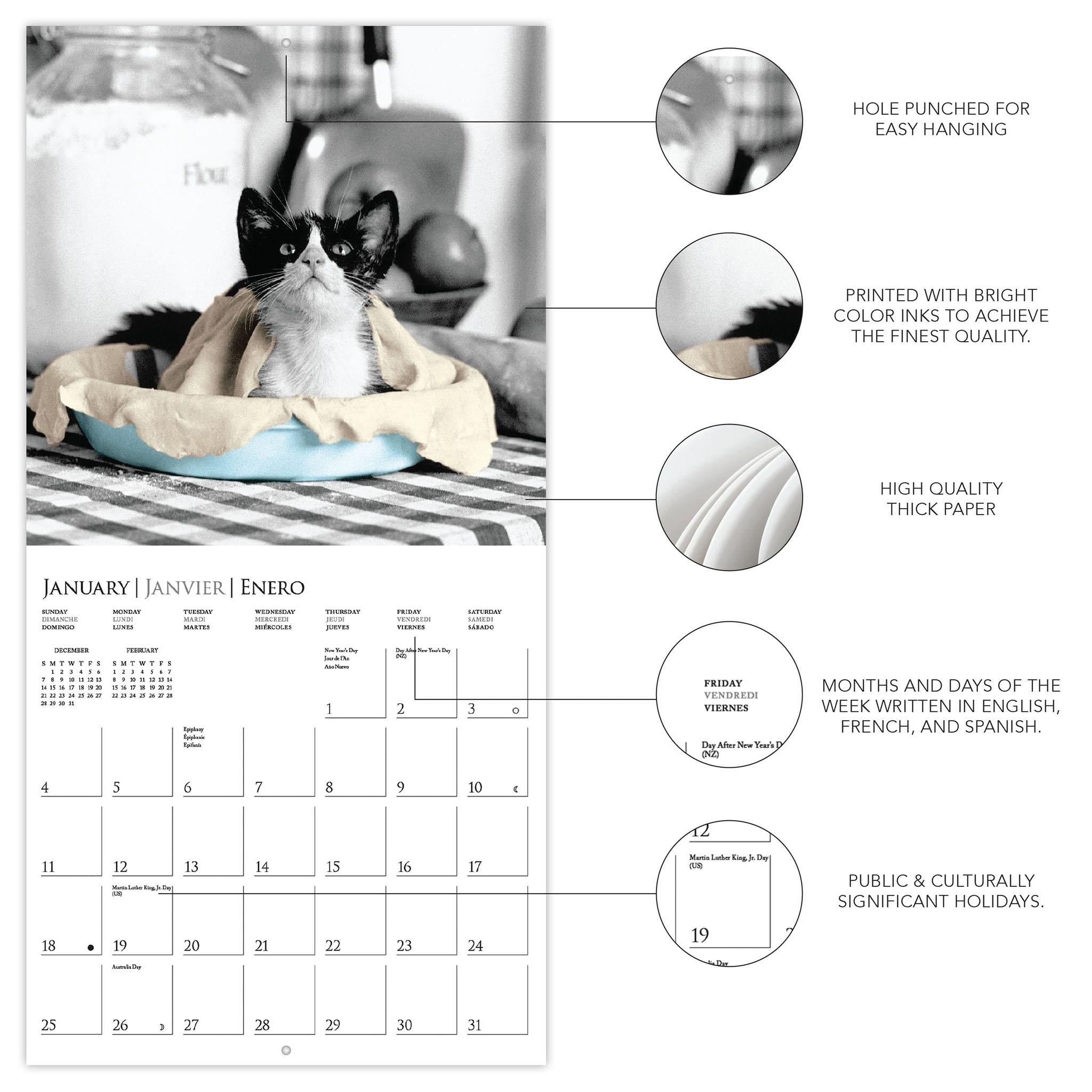 Classic Cats 2026 Mini Calendar