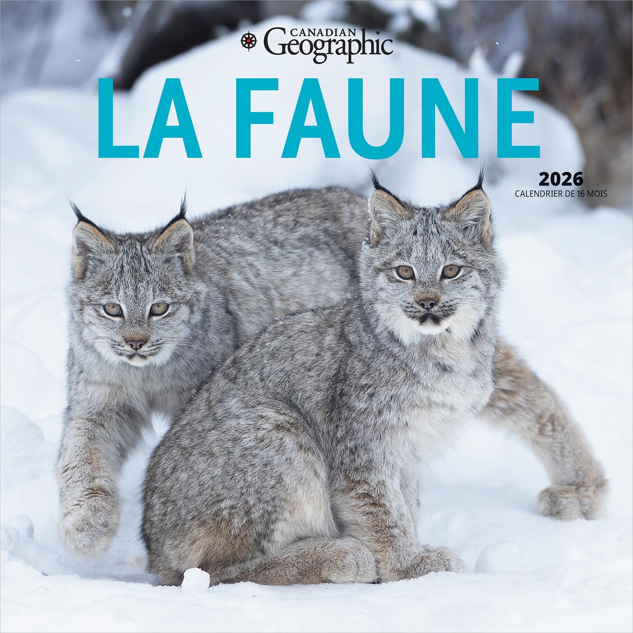 Calendrier mural Canadian Geographic La Faune 2026 (français)