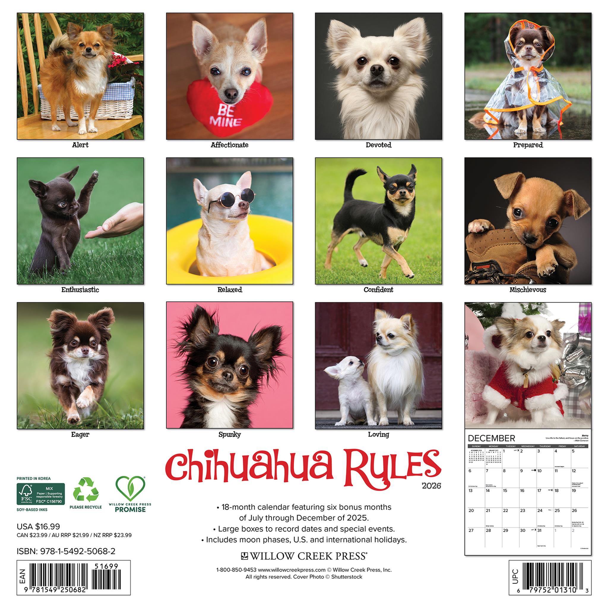 Calendrier mural Chihuahua Rules 2026 - Disponible uniquement en ligne