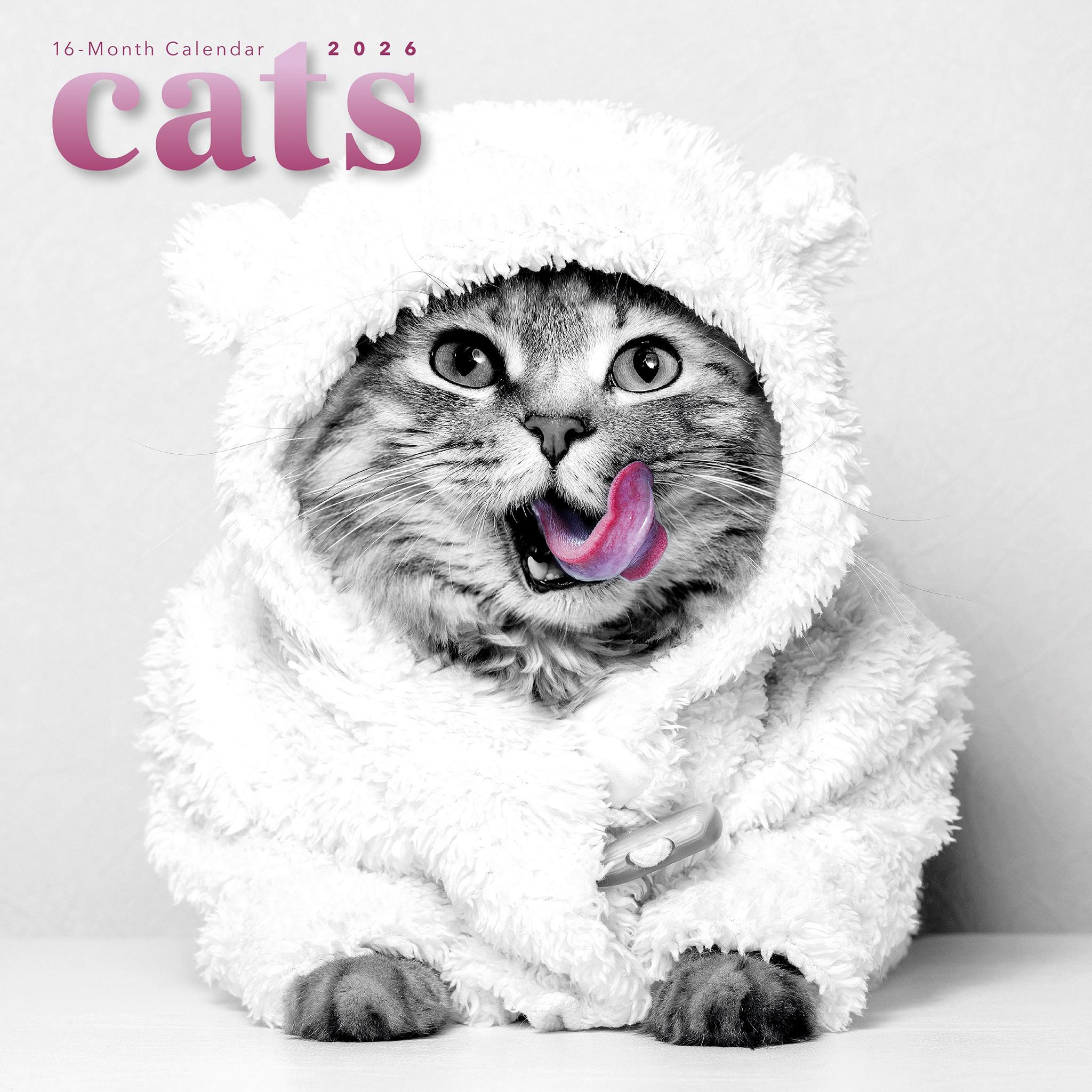 Calendrier mural Chats classiques 2026