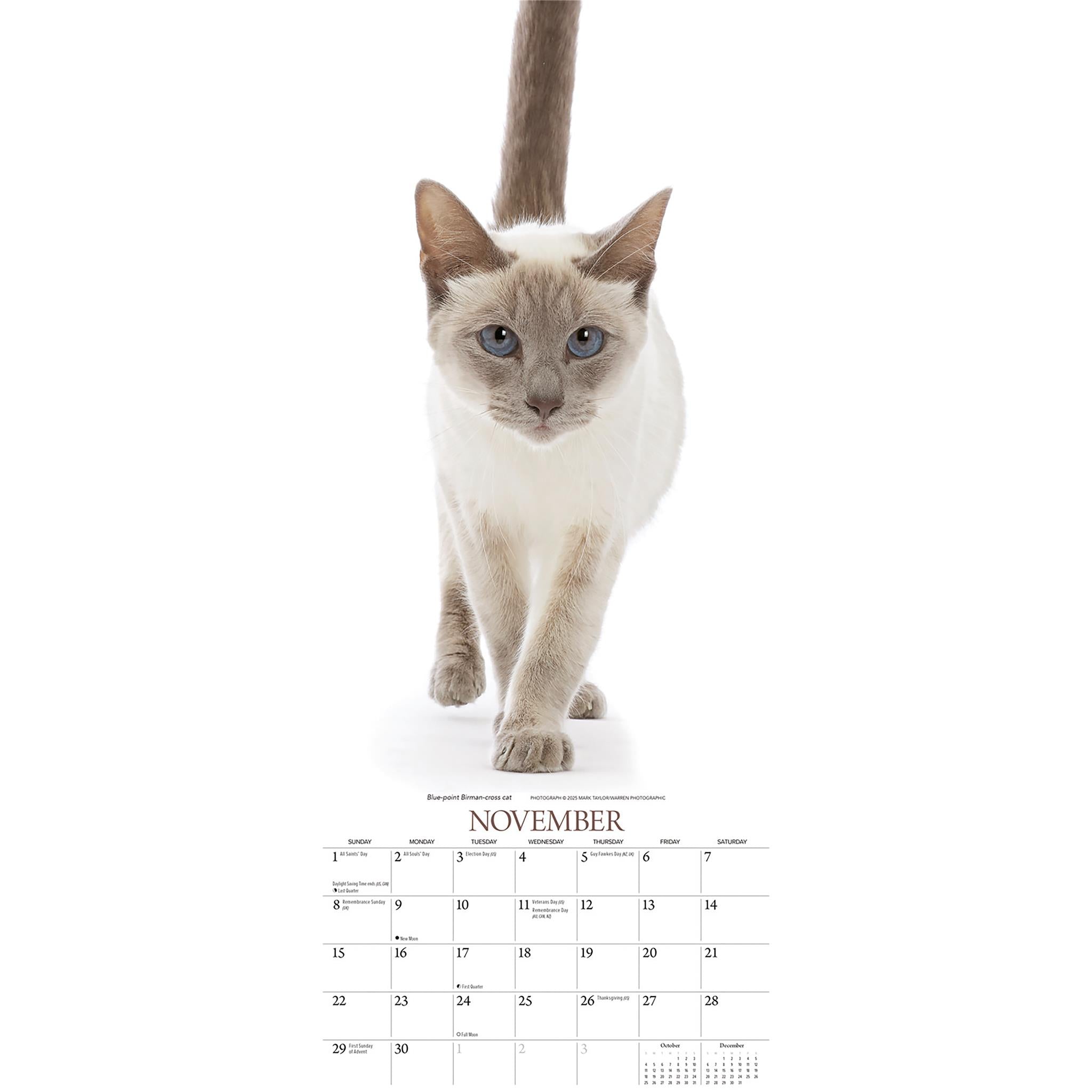 Calendrier des chats 2026