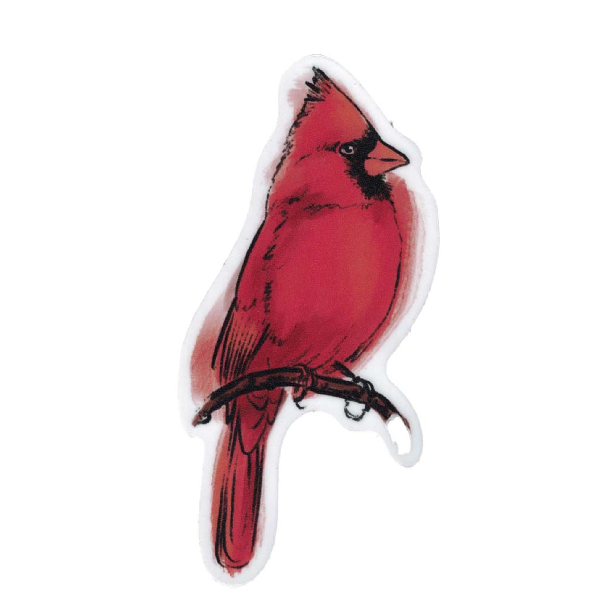 Autocollant en vinyle Cardinal aquarelle
