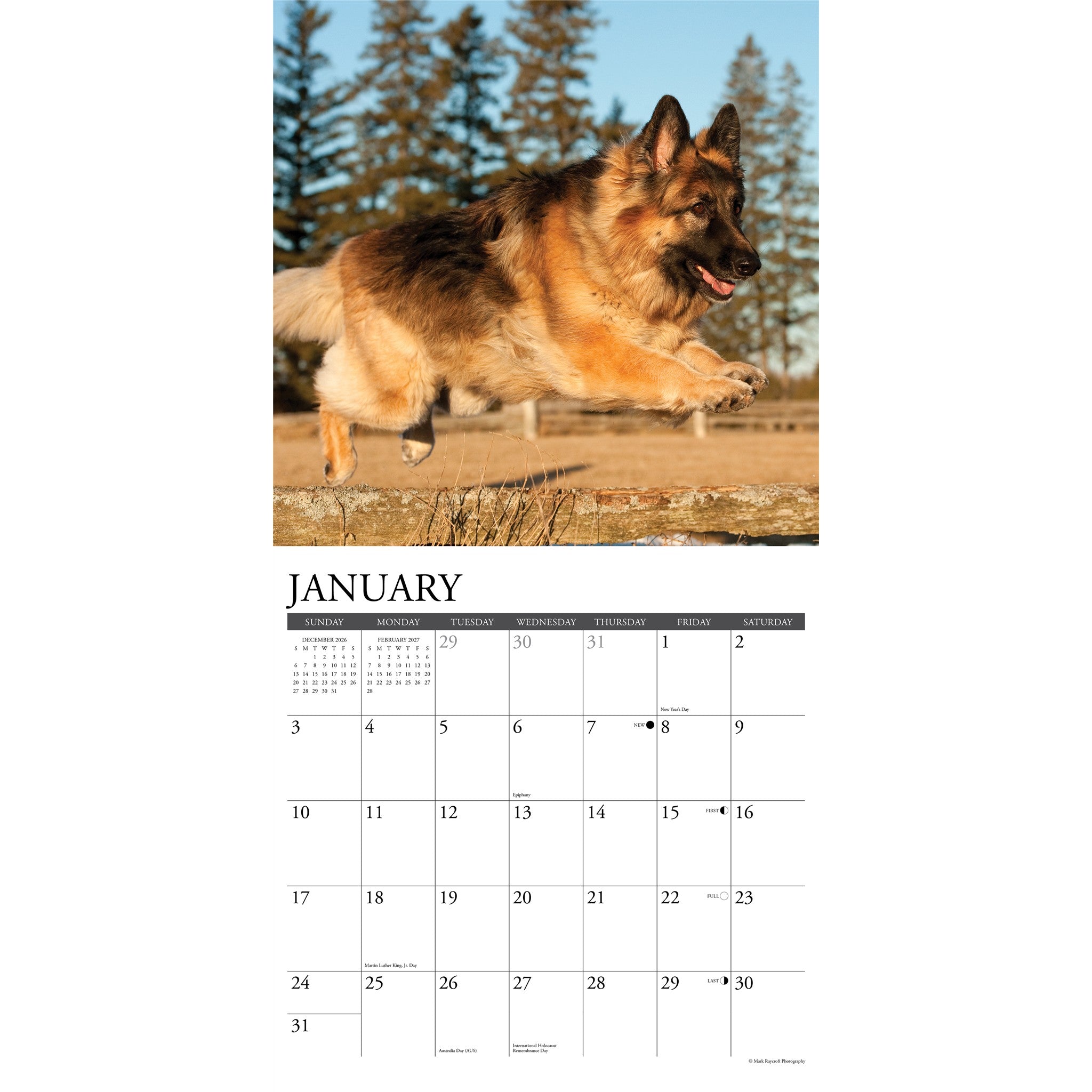 German Shepherds 2027 Wall Calendar