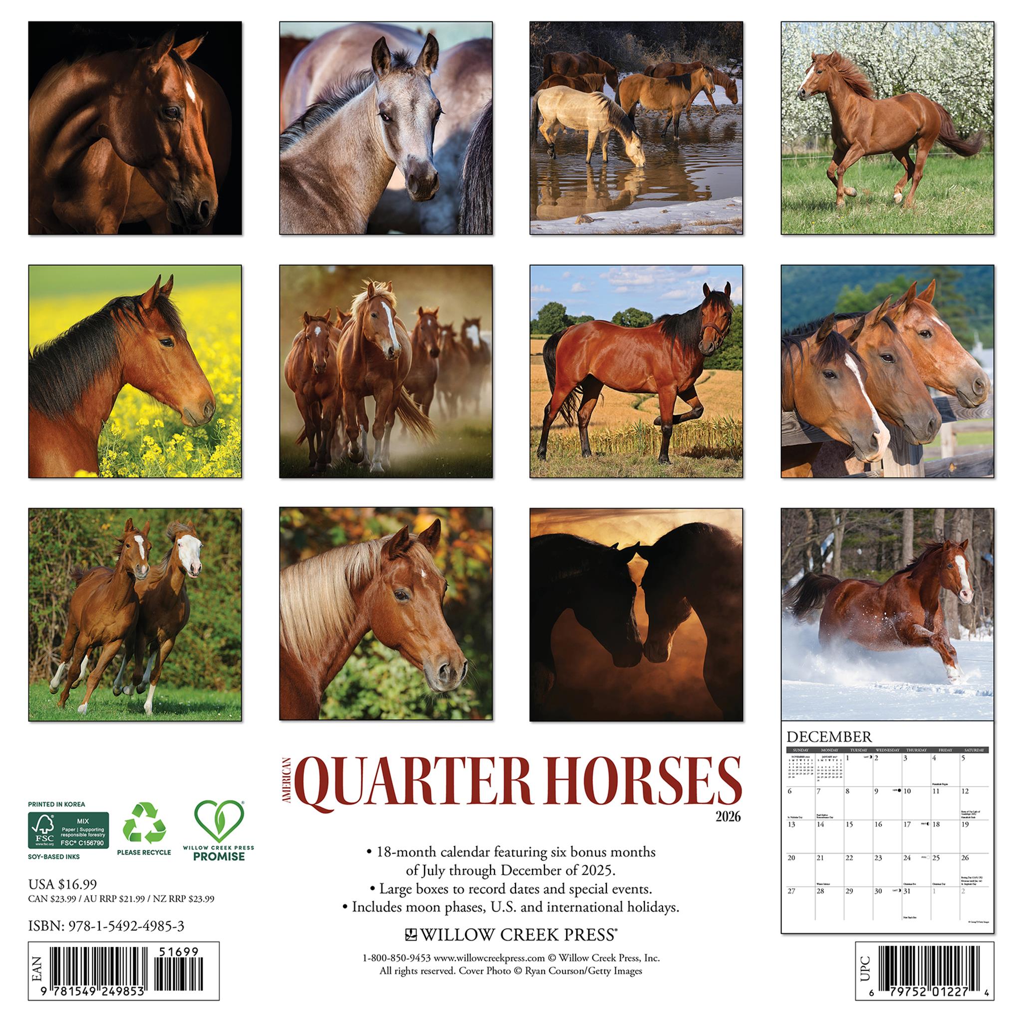 American Quarter Horses 2026 Wall Calendar