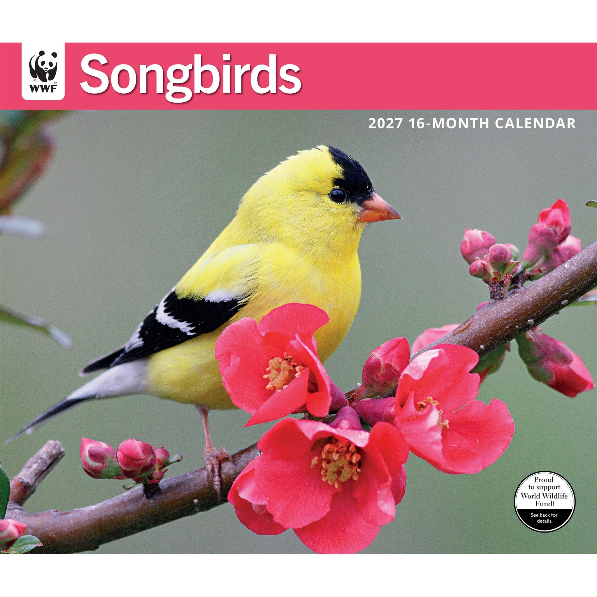 Calendrier mural 2027 Chants d'oiseaux du WWF