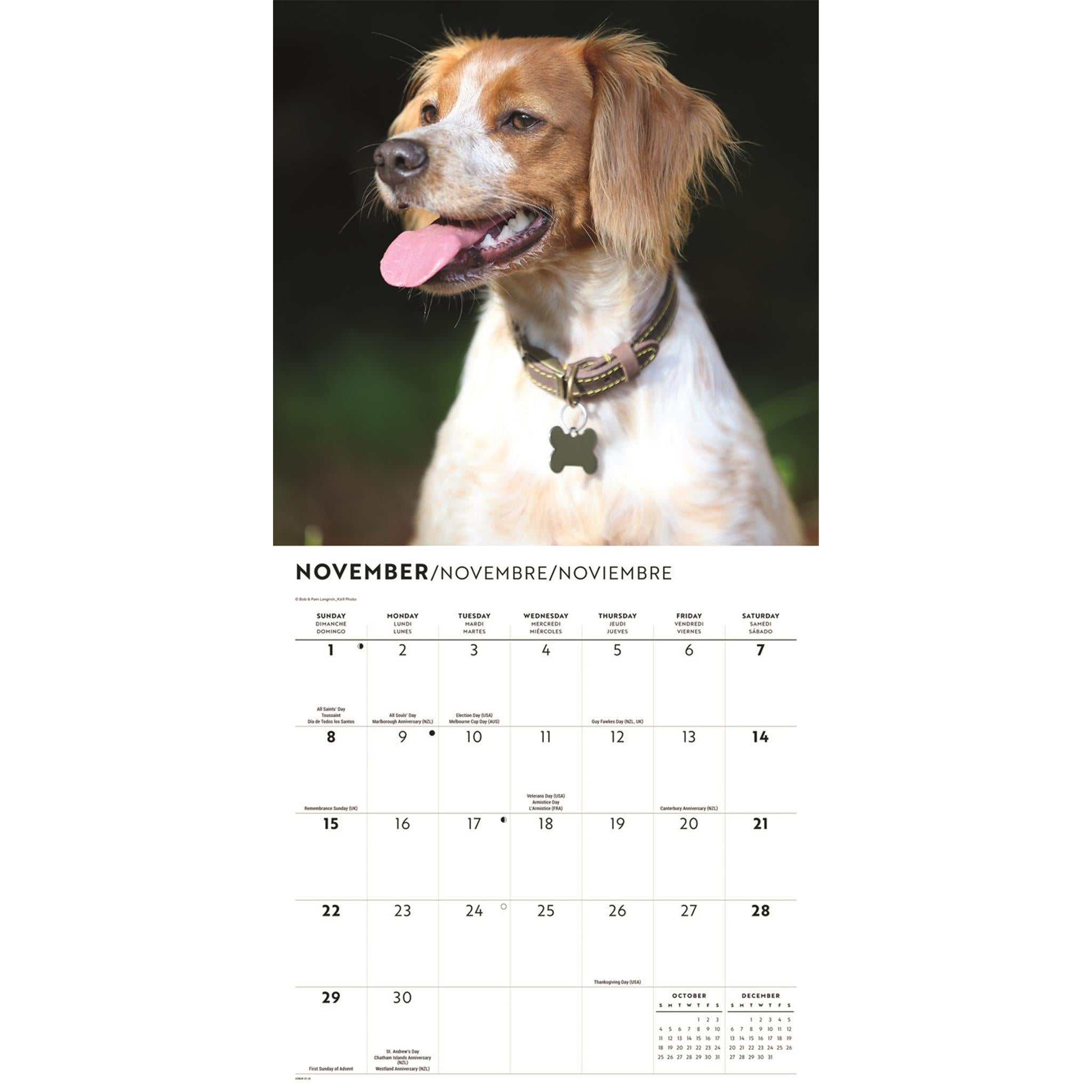 Brittanys 2026 Wall Calendar