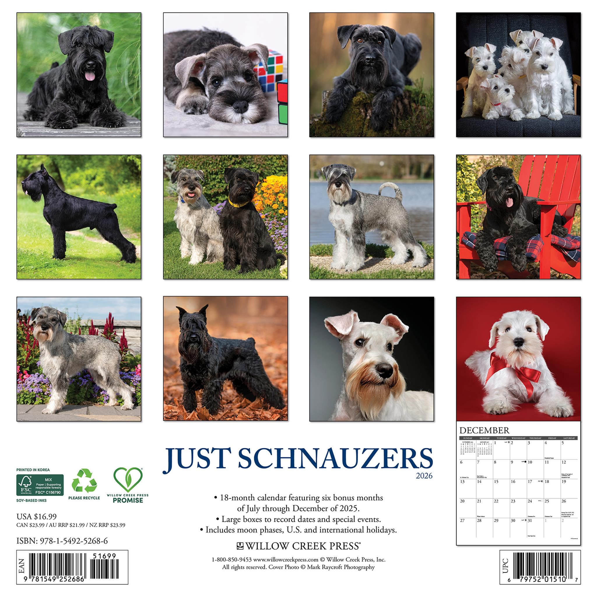 Calendrier mural Just Schnauzers 2026 - Disponible uniquement en ligne
