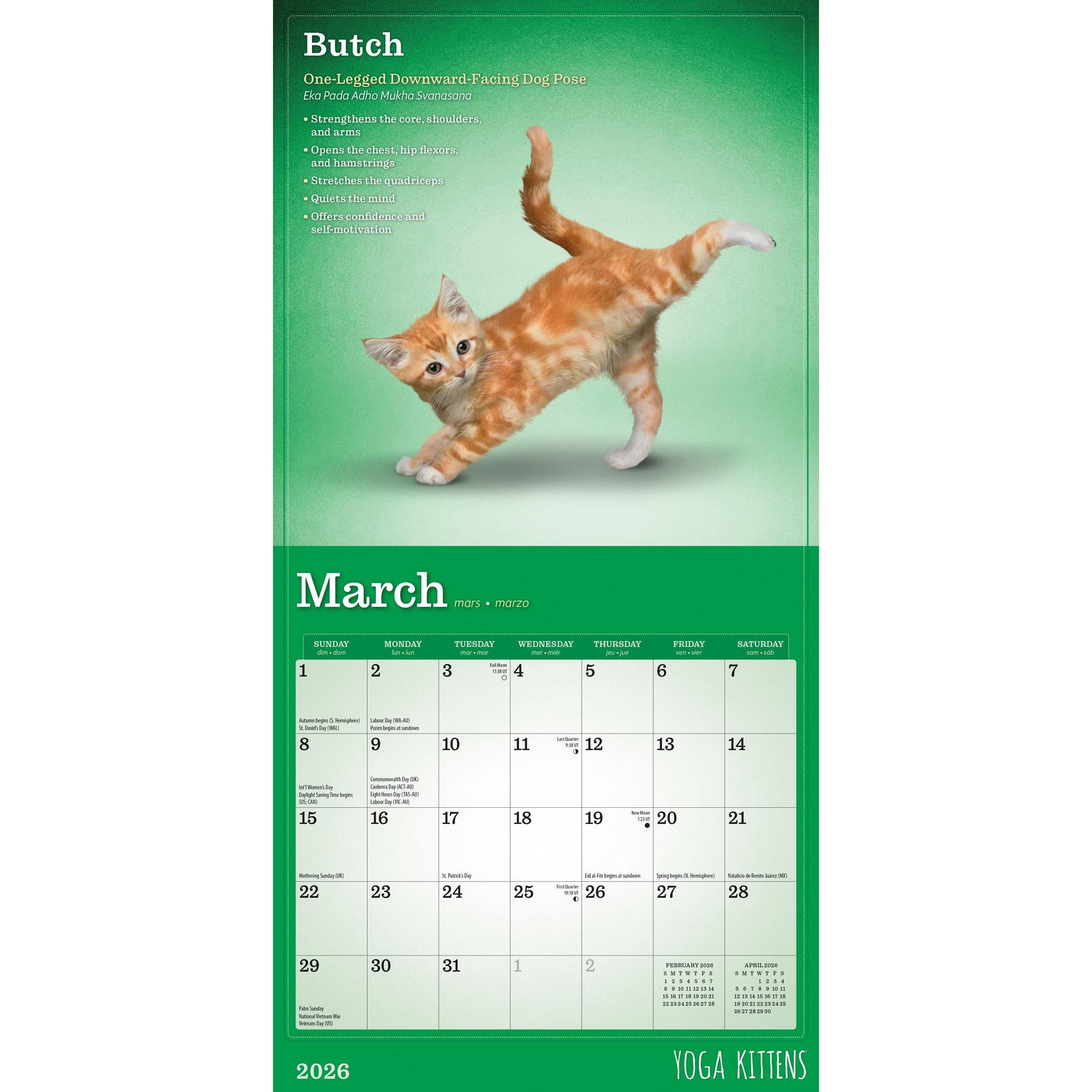 Yoga Kittens 2026 Mini Calendar