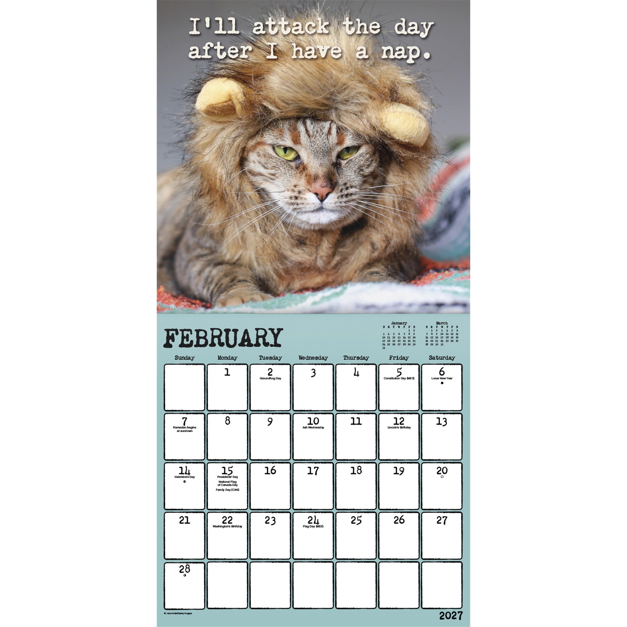 Snarcatstic 2027 Wall Calendar - Online Only