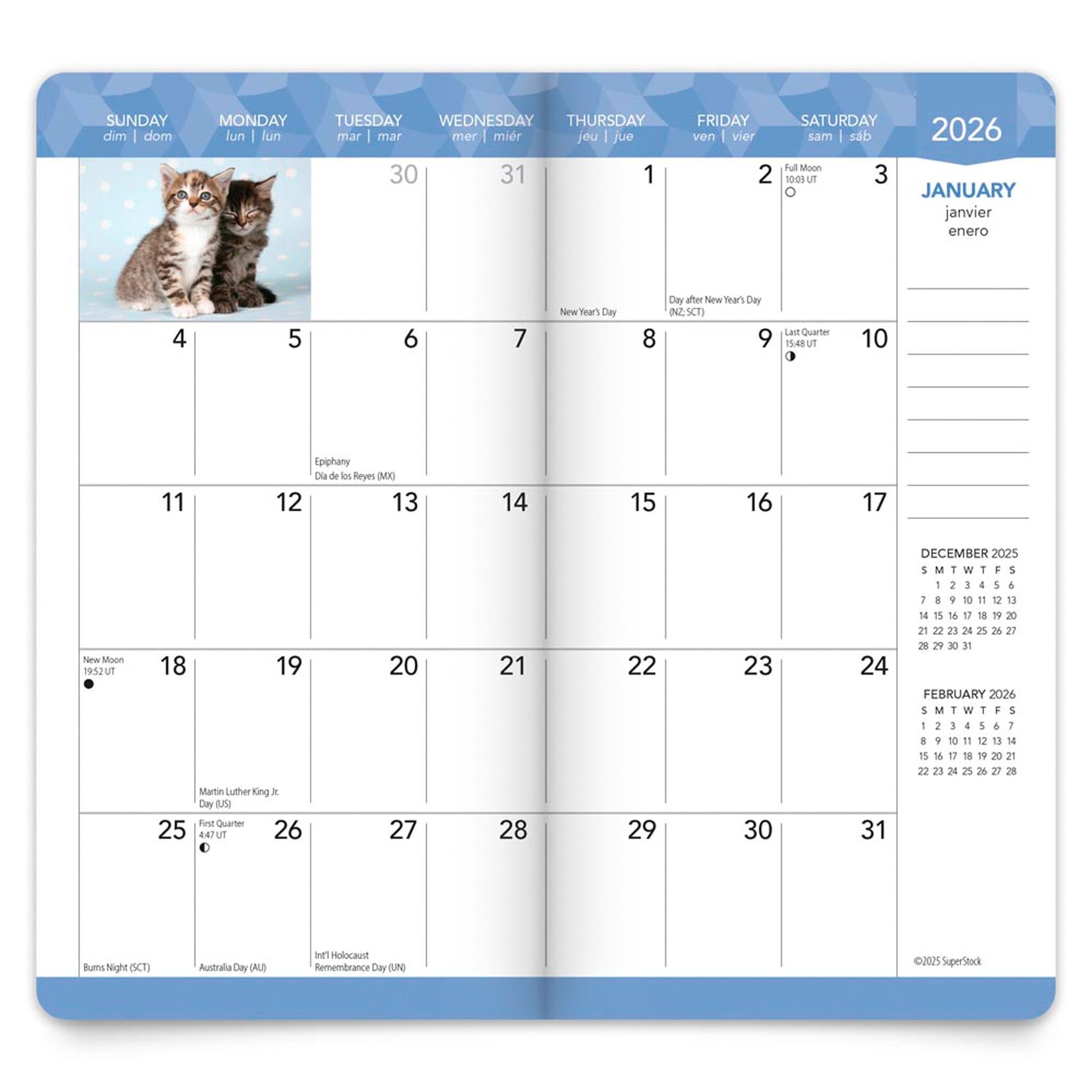 Agenda de poche Kitten Cuddles 2026 sur 2 ans