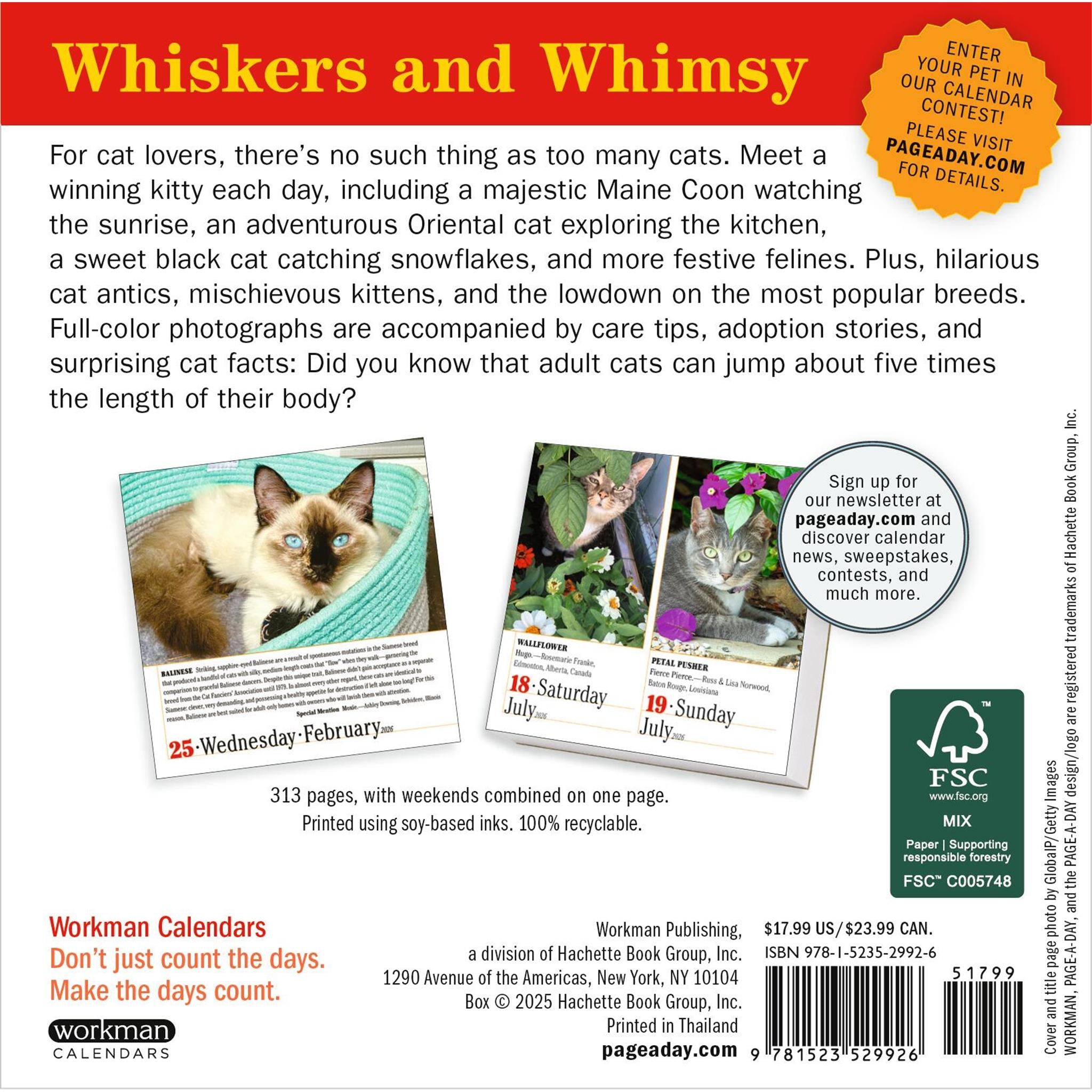 Cats 365 2026 Box Calendar