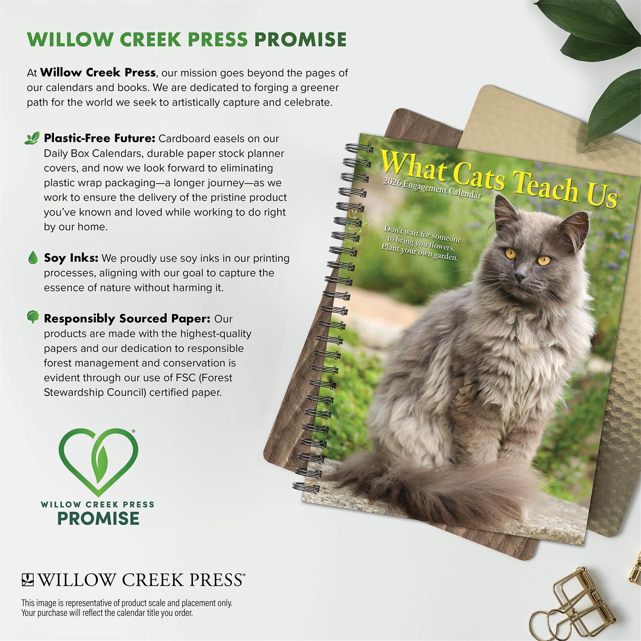 What Cats Teach Us 2026 Engagement Calendar