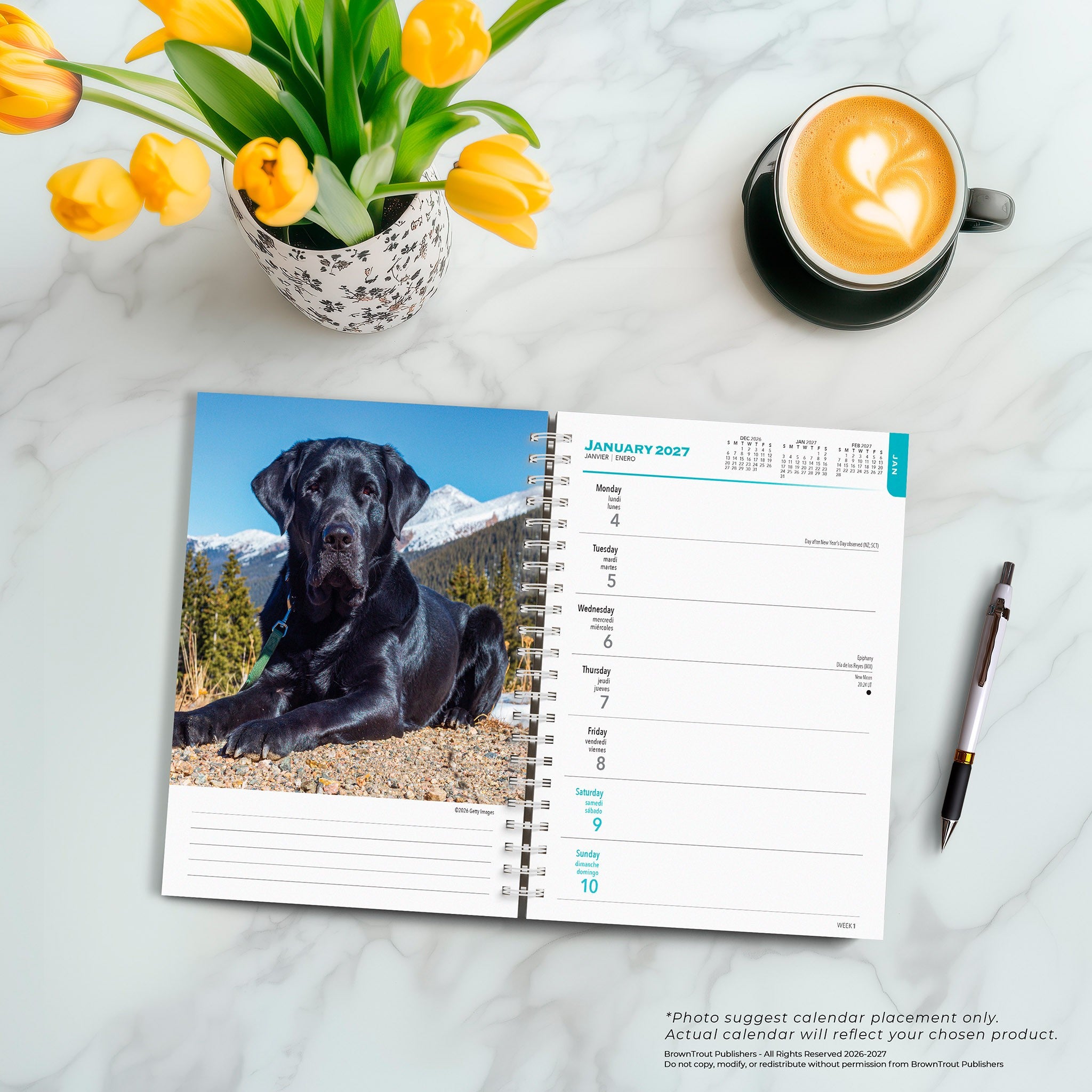 Black Labs 2027 Engagement Calendar - Online Only
