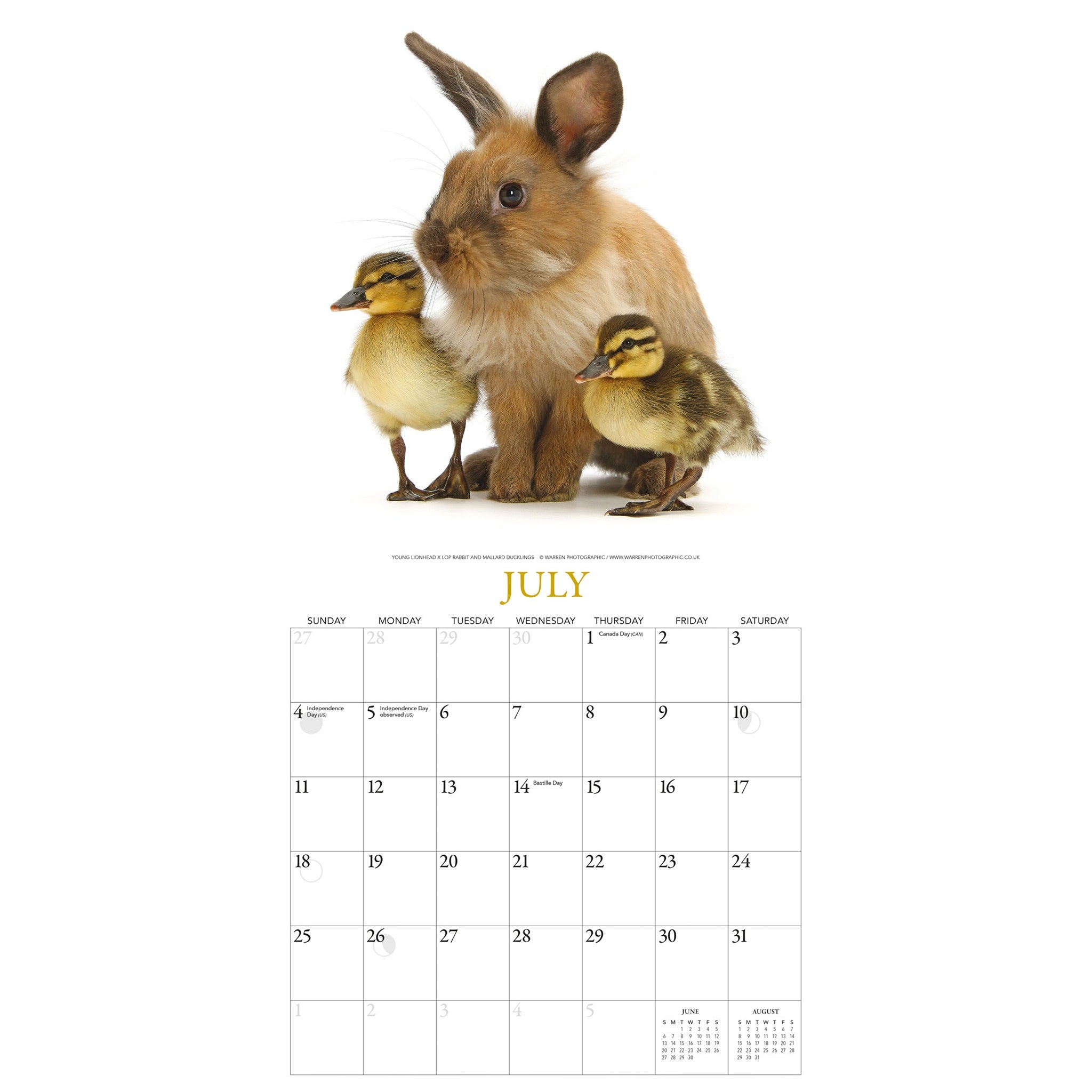 Calendrier mural 2027 Lapins et amis