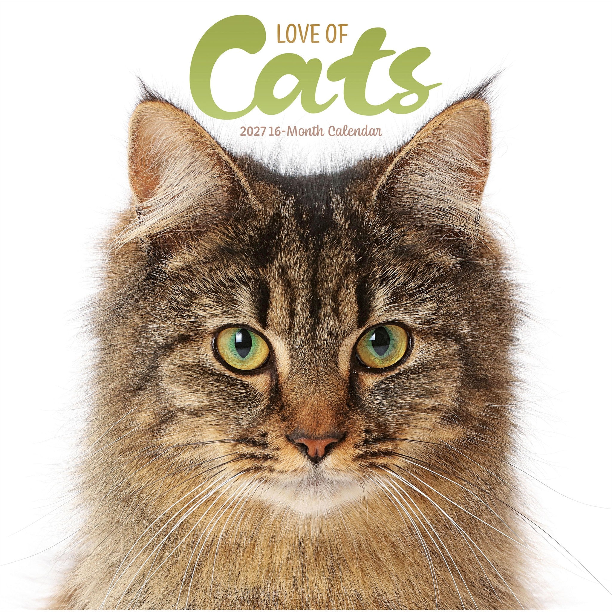 Calendrier mural L'Amour des chats 2027