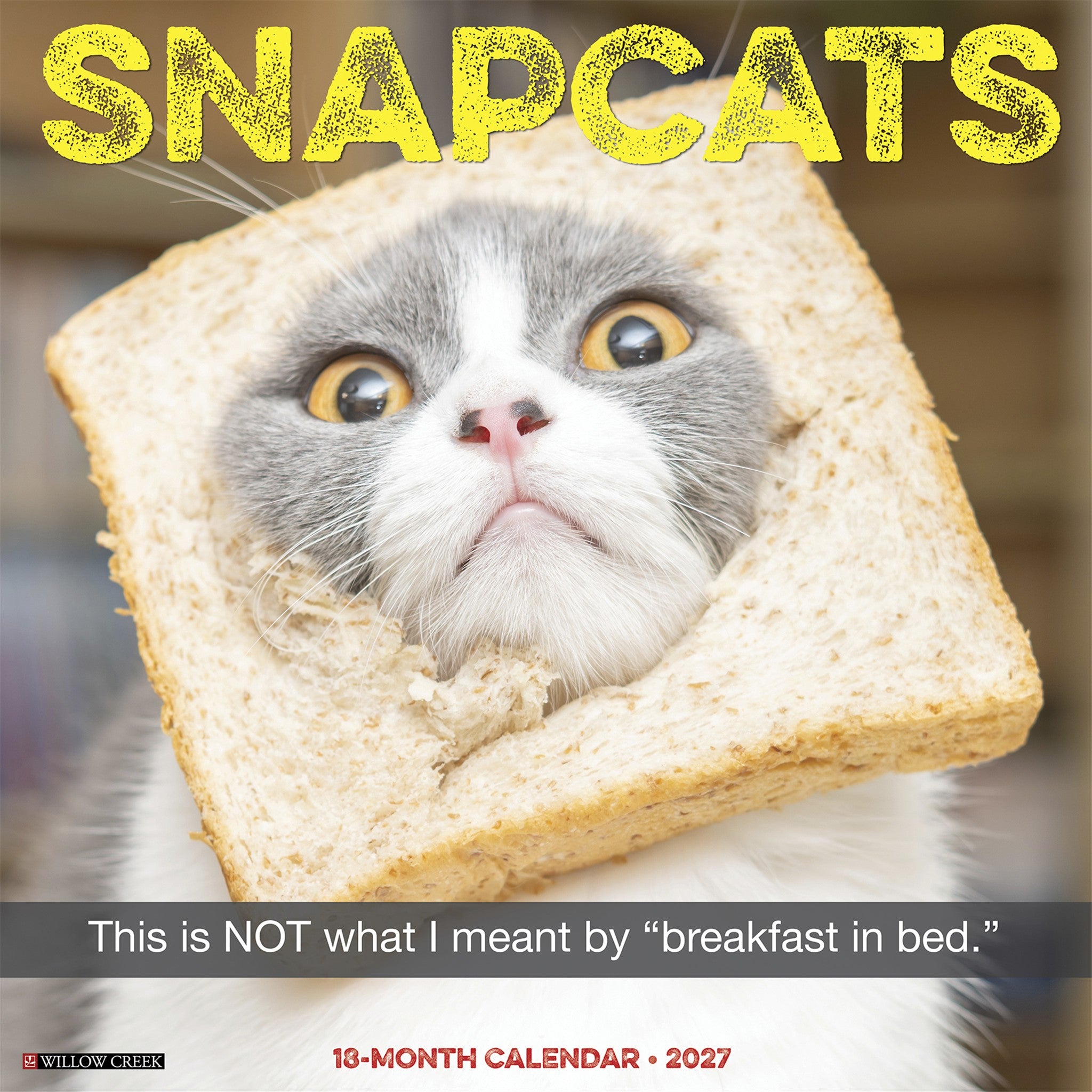 Snapcats 2027 Wall Calendar
