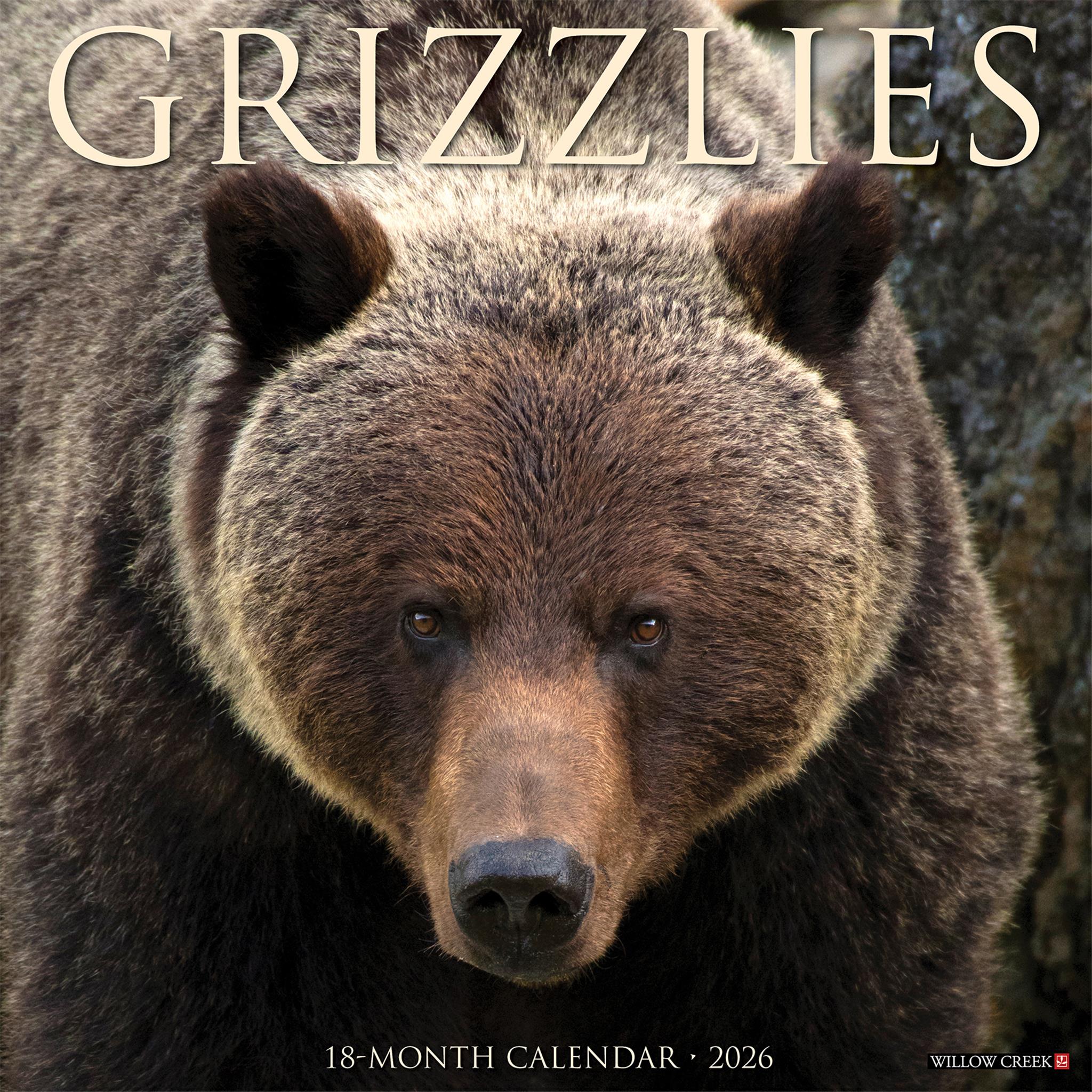 Calendrier mural Grizzlies 2026