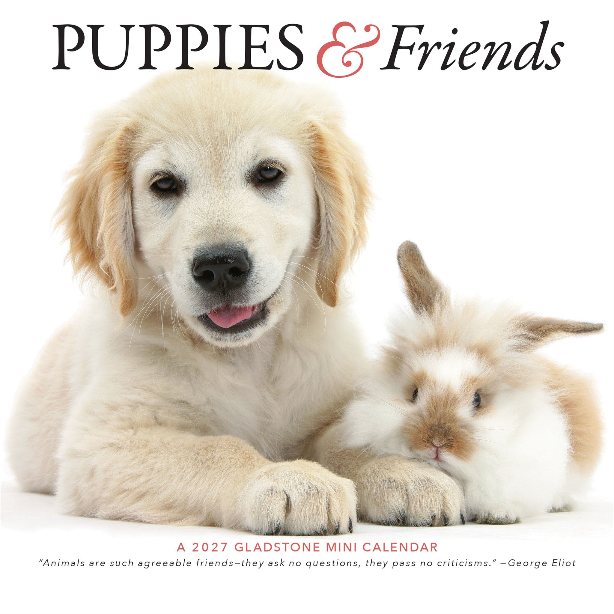 Mini-calendrier Chiots et amis 2027