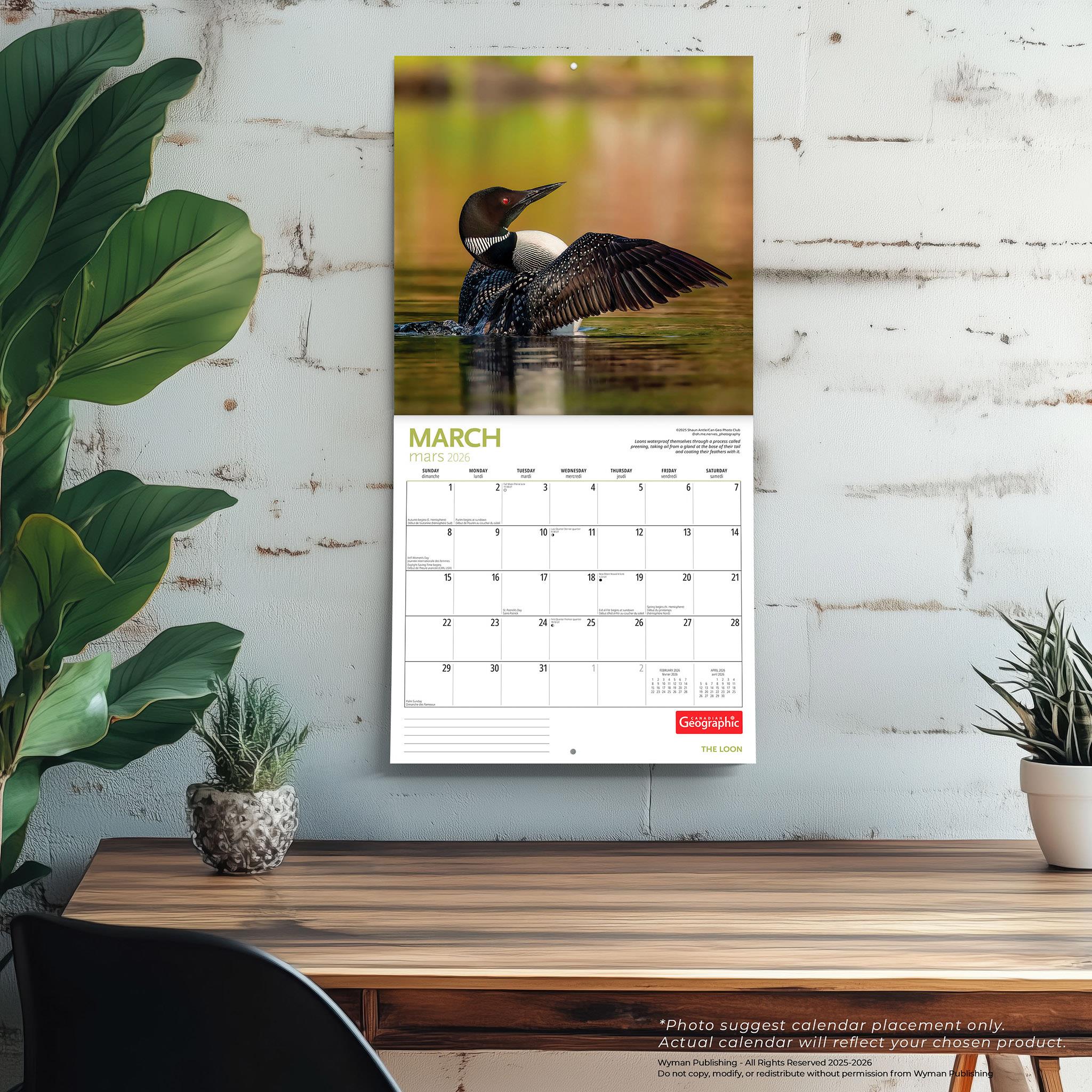 Calendrier mural Canadian Geographic Loon 2026 - Disponible uniquement en ligne