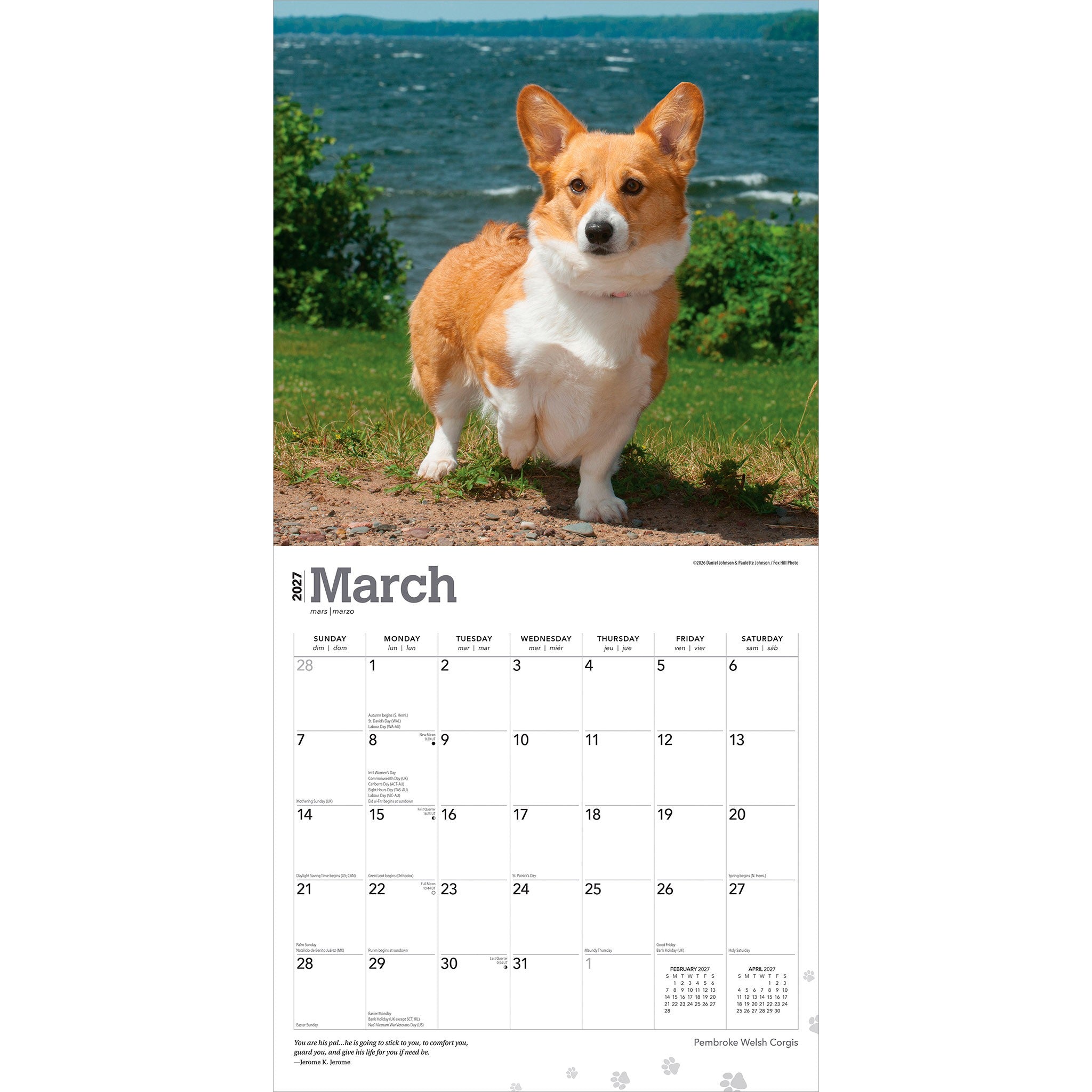Pembroke Welsh Corgis 2027 Wall Calendar - Online Only