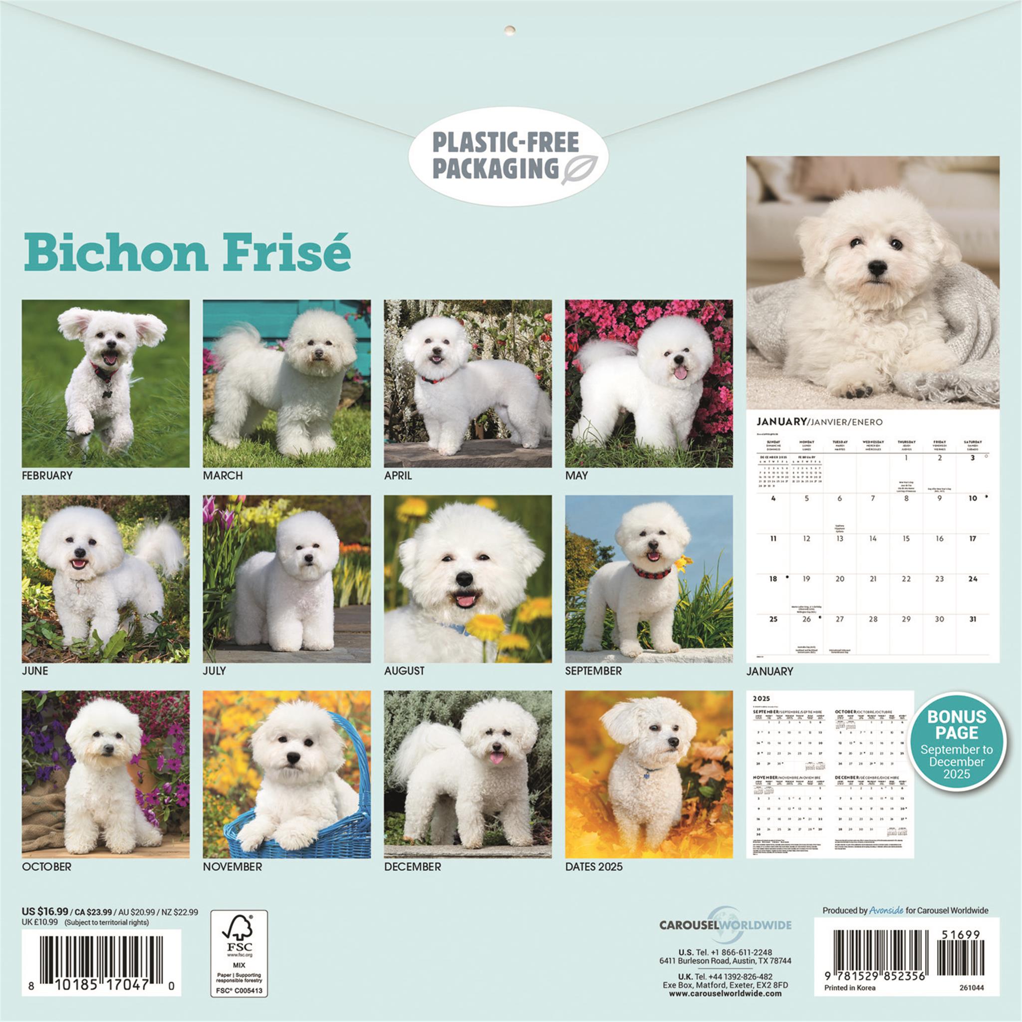 Calendrier mural Bichon Frisé 2026