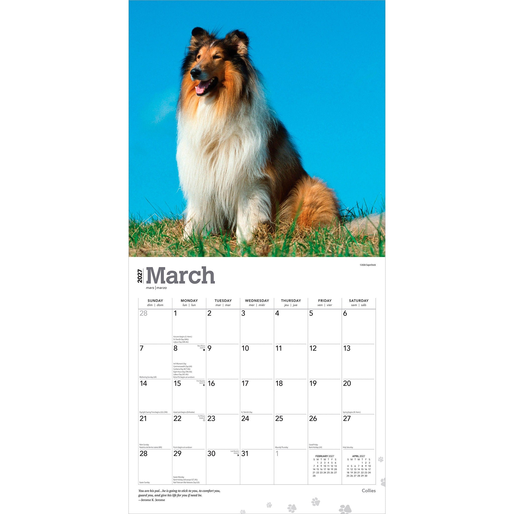 Collies 2027 Wall Calendar