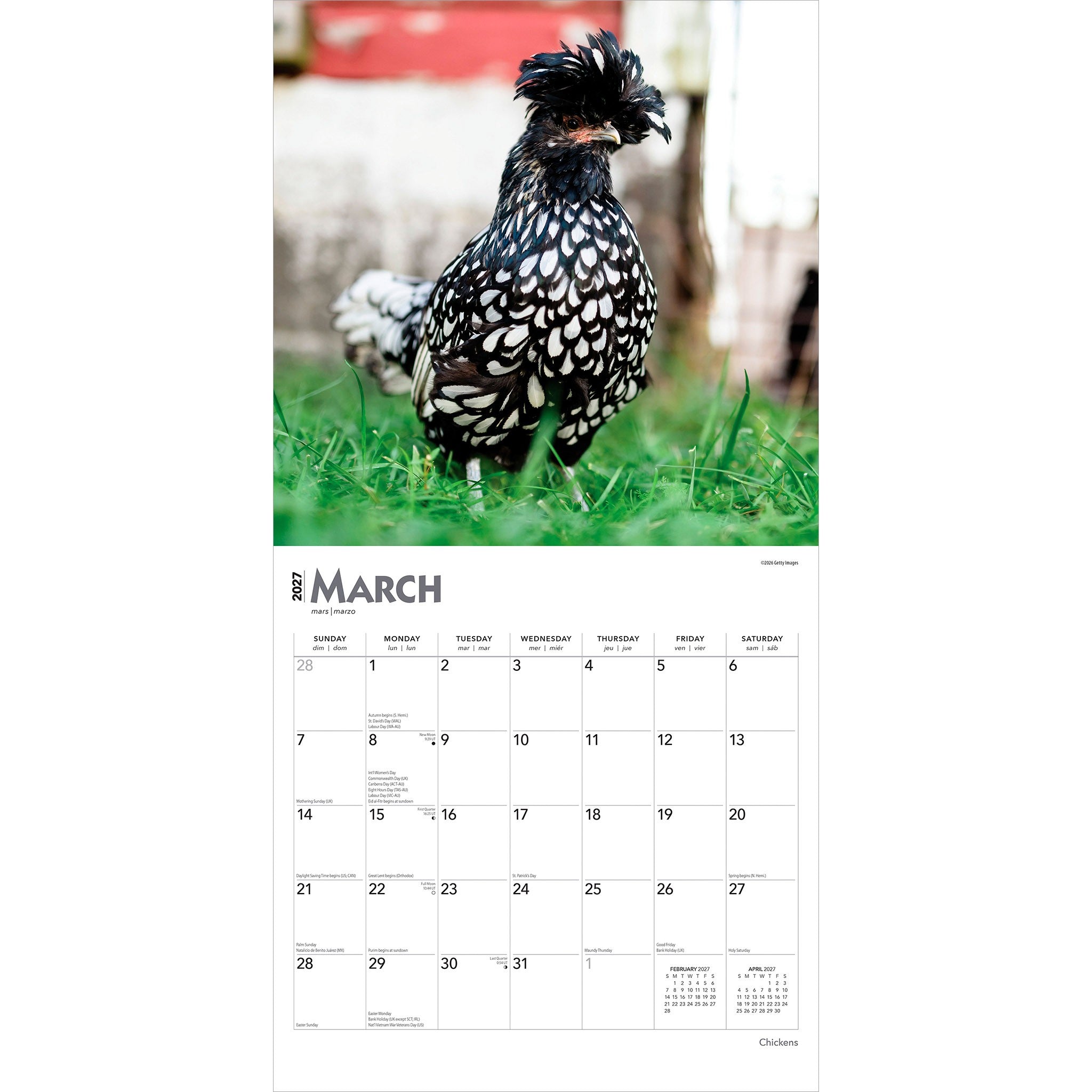 Chickens 2027 Wall Calendar