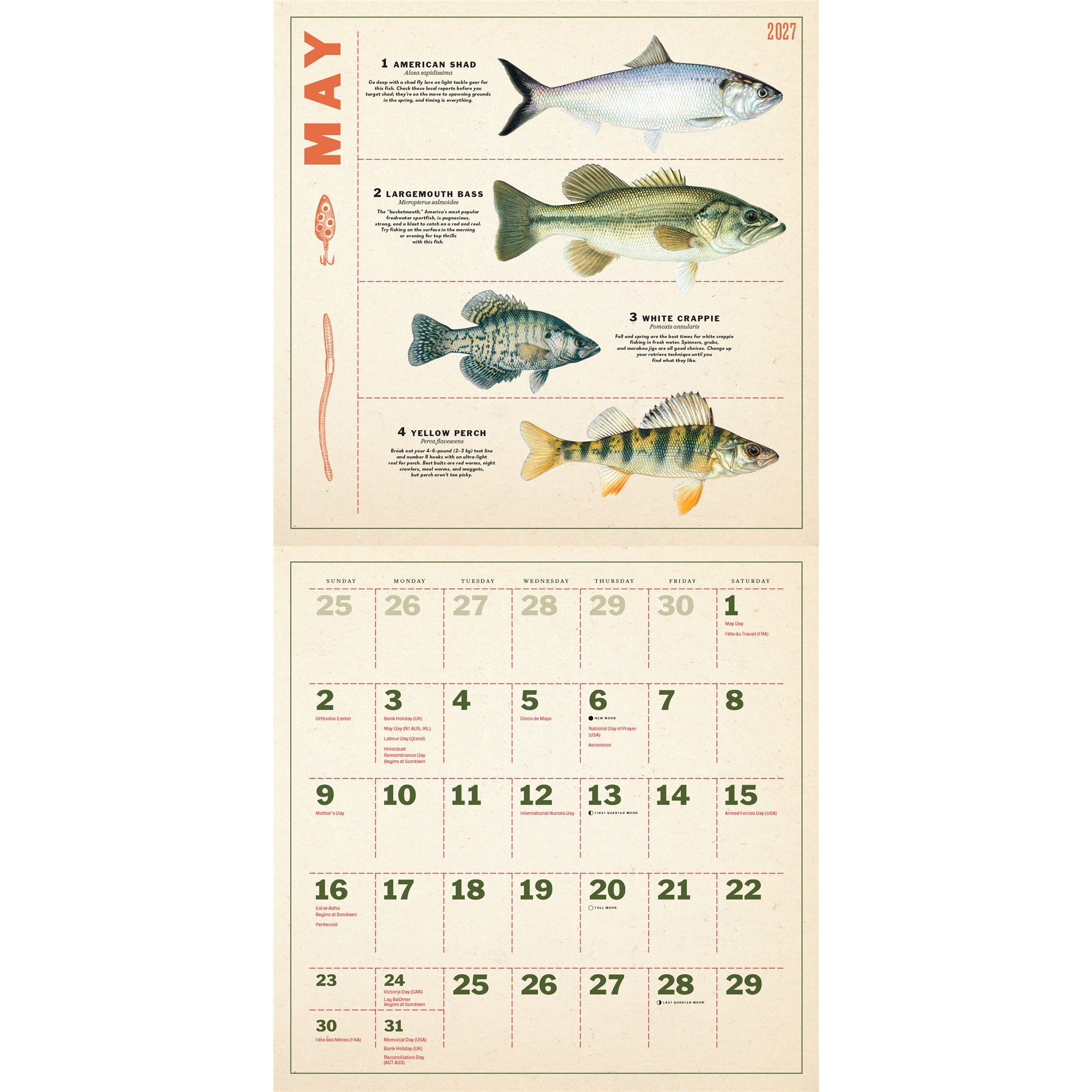 Calendrier mural Douze mois de pêche 2027