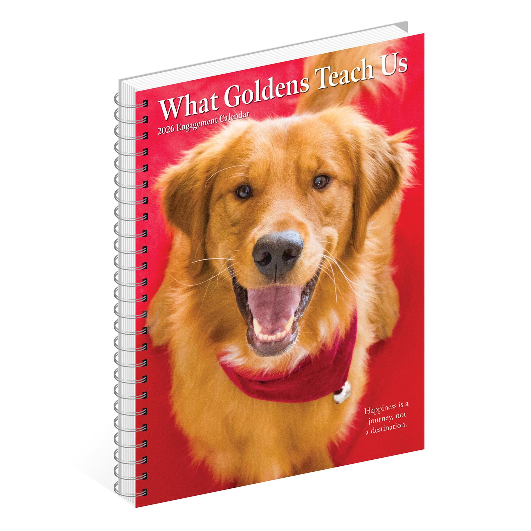 Calendrier des fiançailles 2026 : Ce que les Golden Retrievers nous apprennent