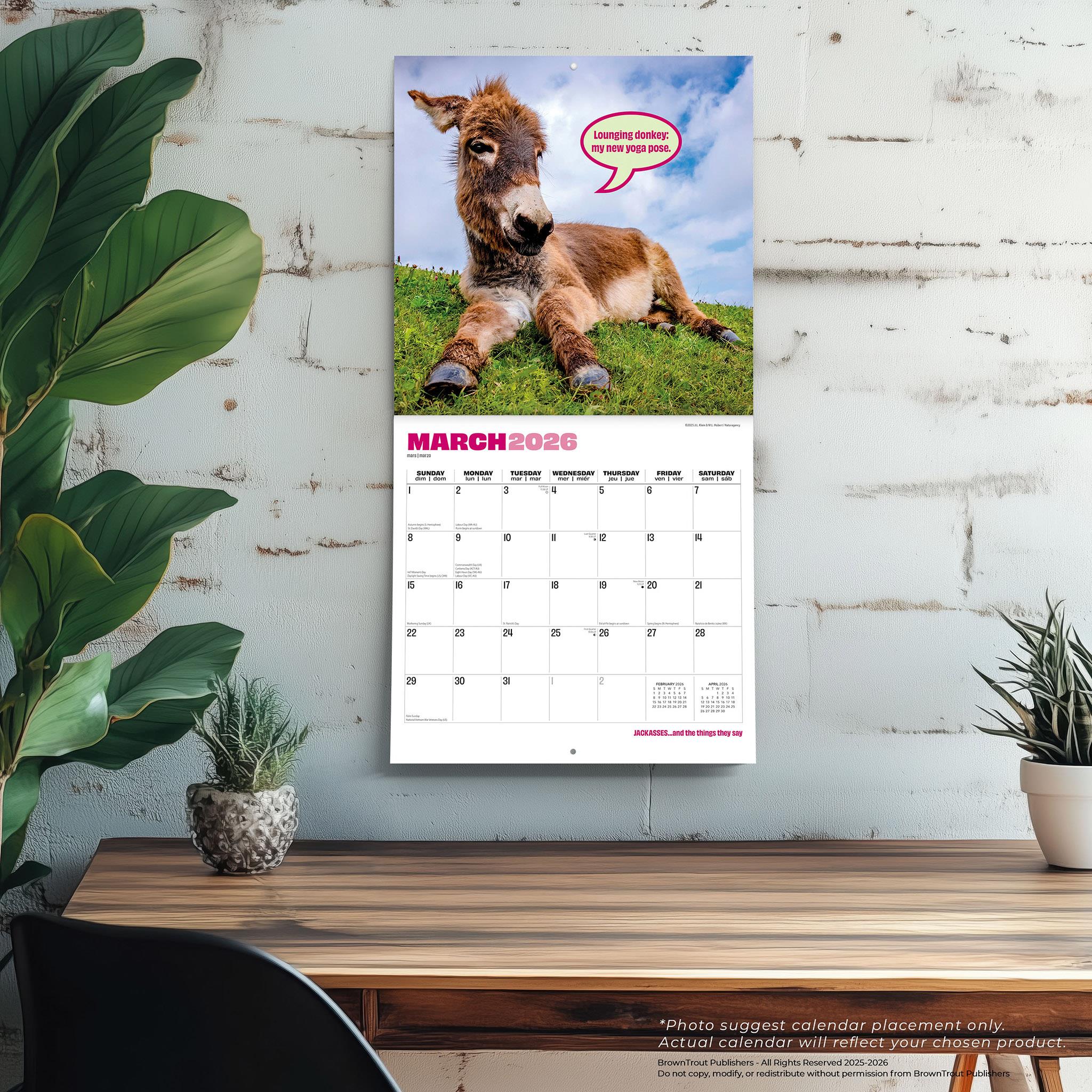 Jackasses 2026 Wall Calendar