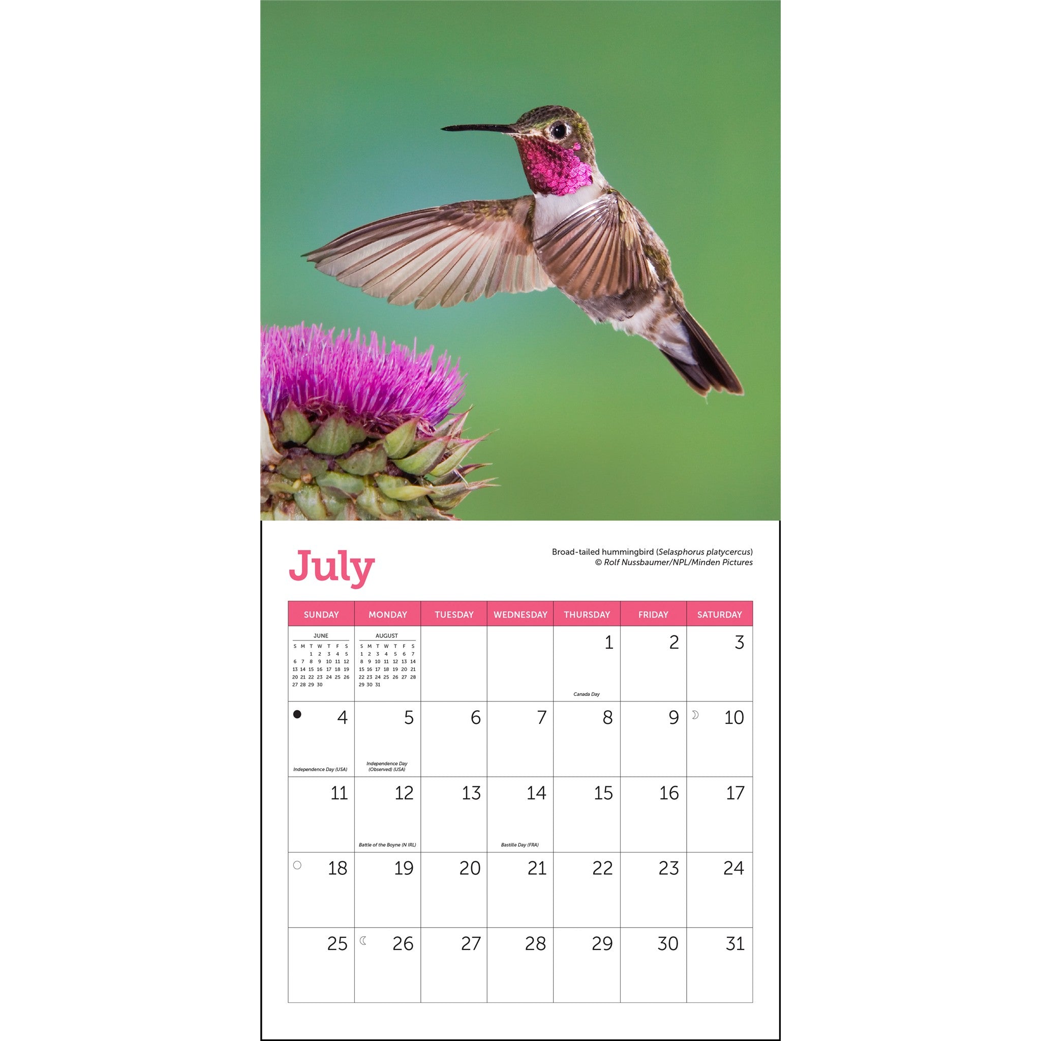 Mini-calendrier Colibris 2027