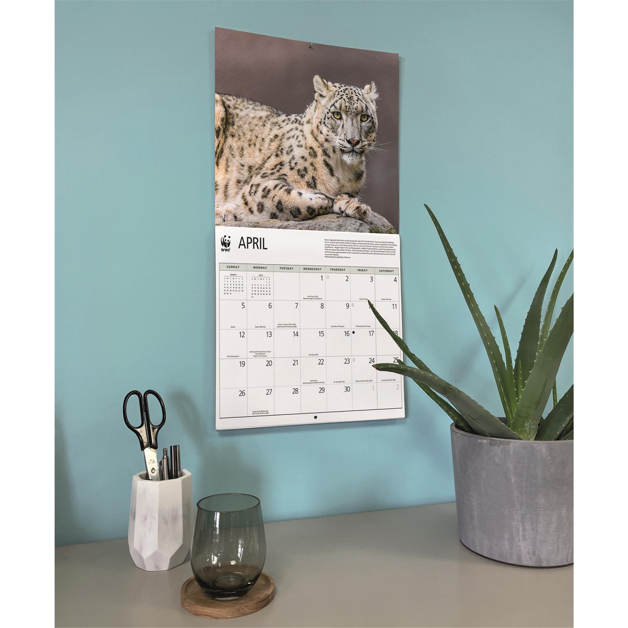 World Wildlife Fund Wild Cats 2026 Wall Calendar