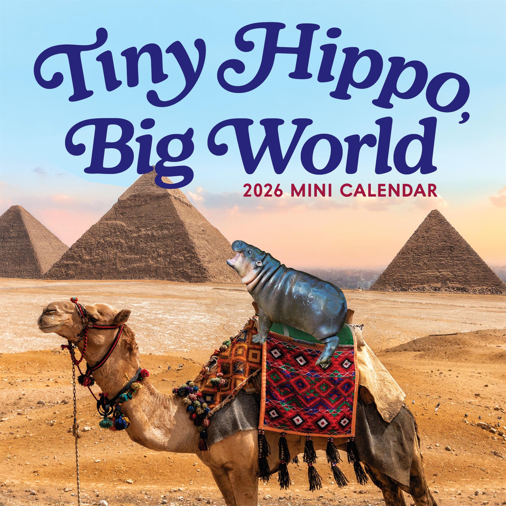Mini calendrier Tiny Hippo Big World 2026