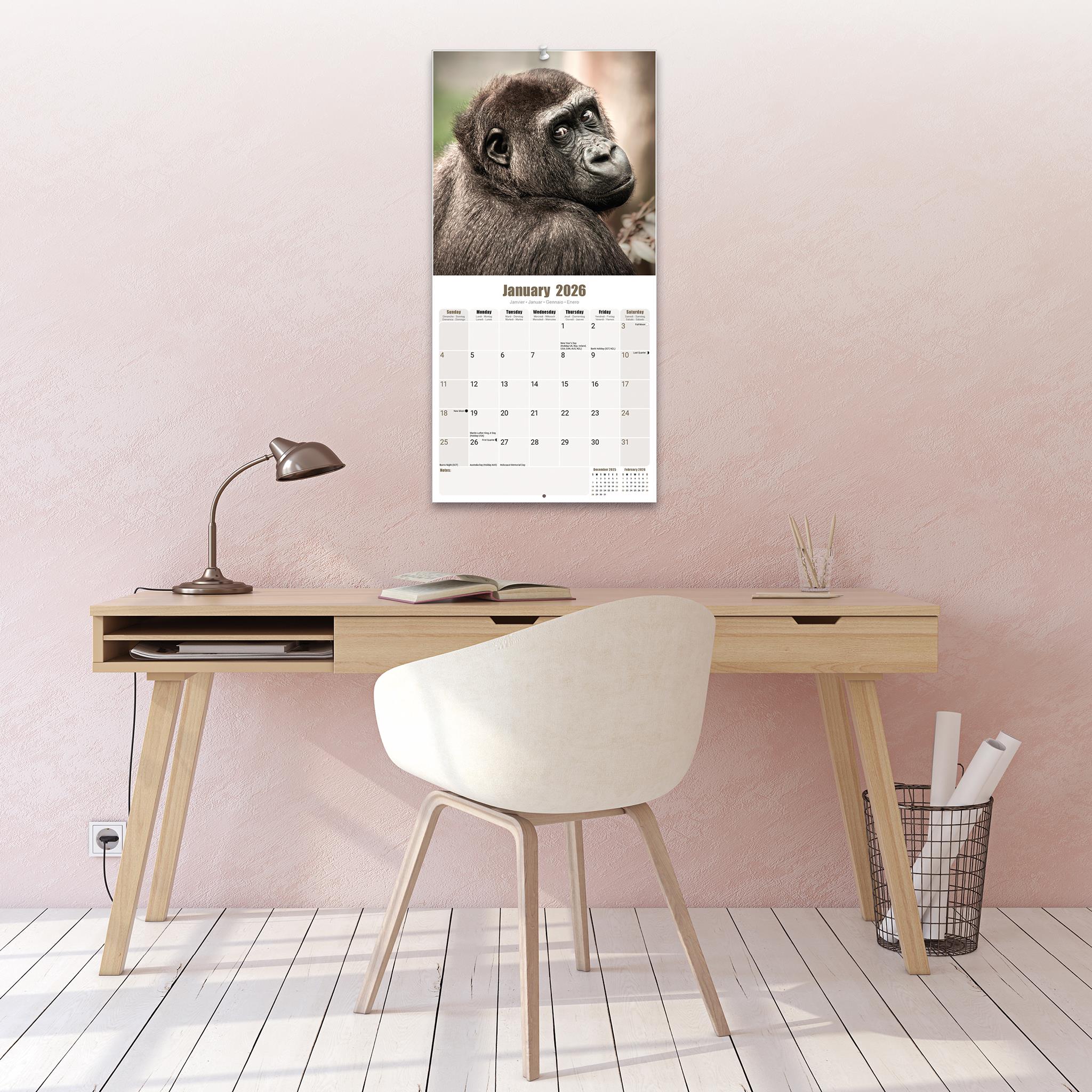 Calendrier mural Apes 2026 - Disponible uniquement en ligne