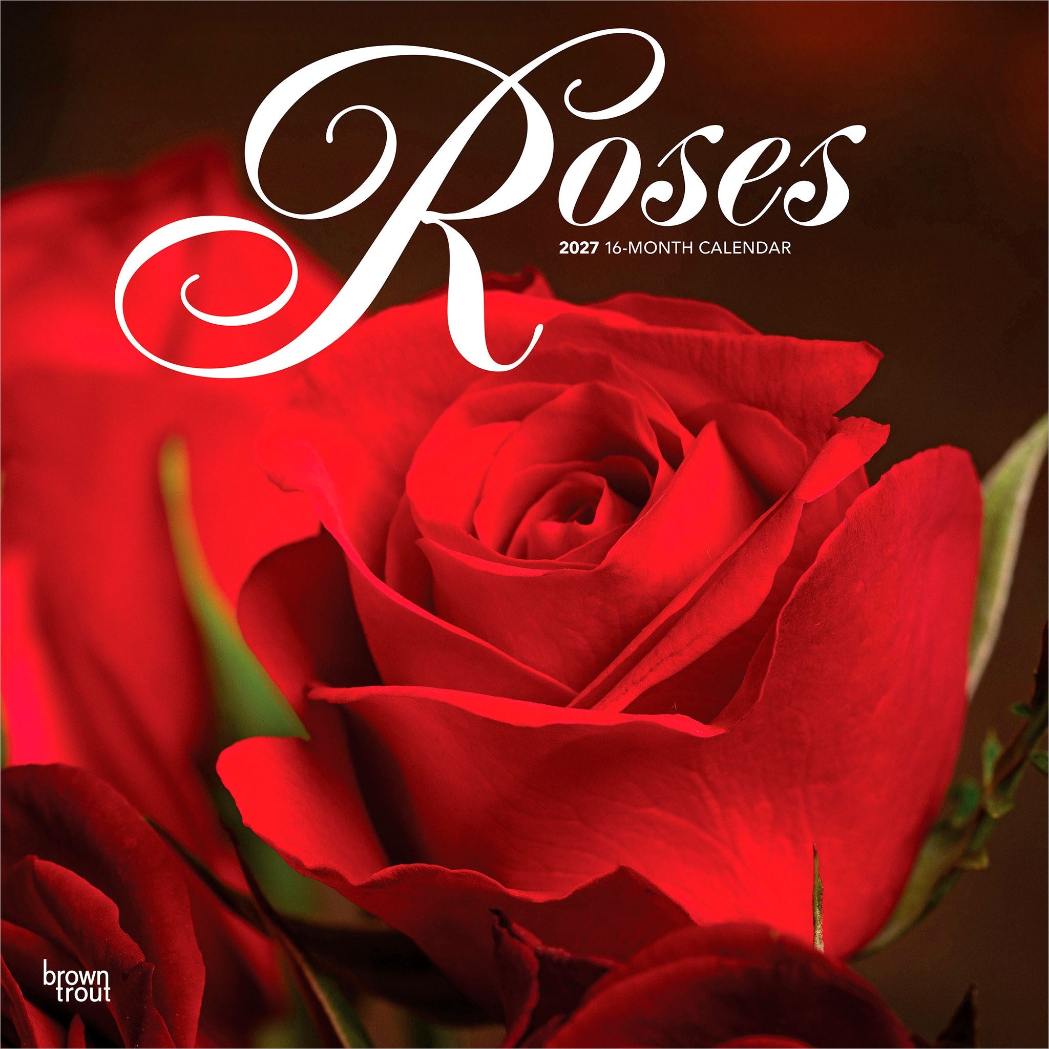 Roses 2027 Wall Calendar - Online Only