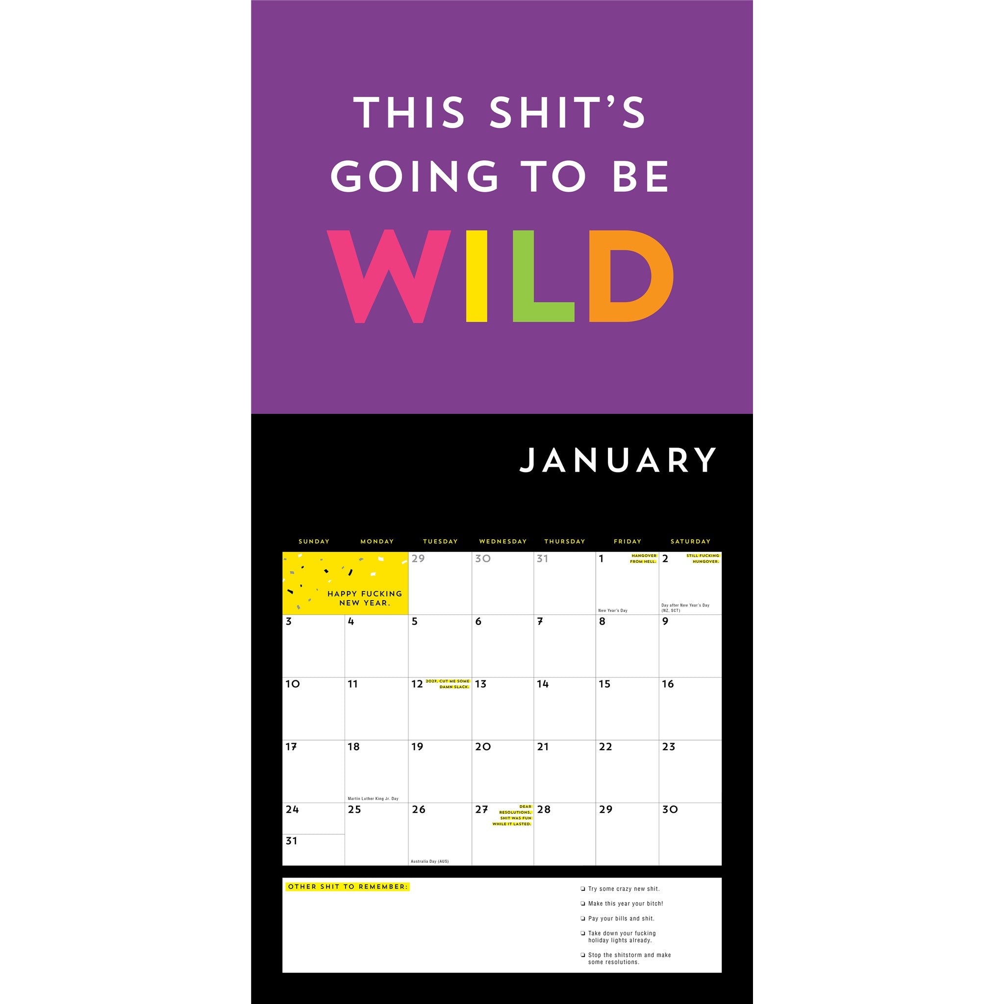 A Fucking Calendar 2027 Wall Calendar