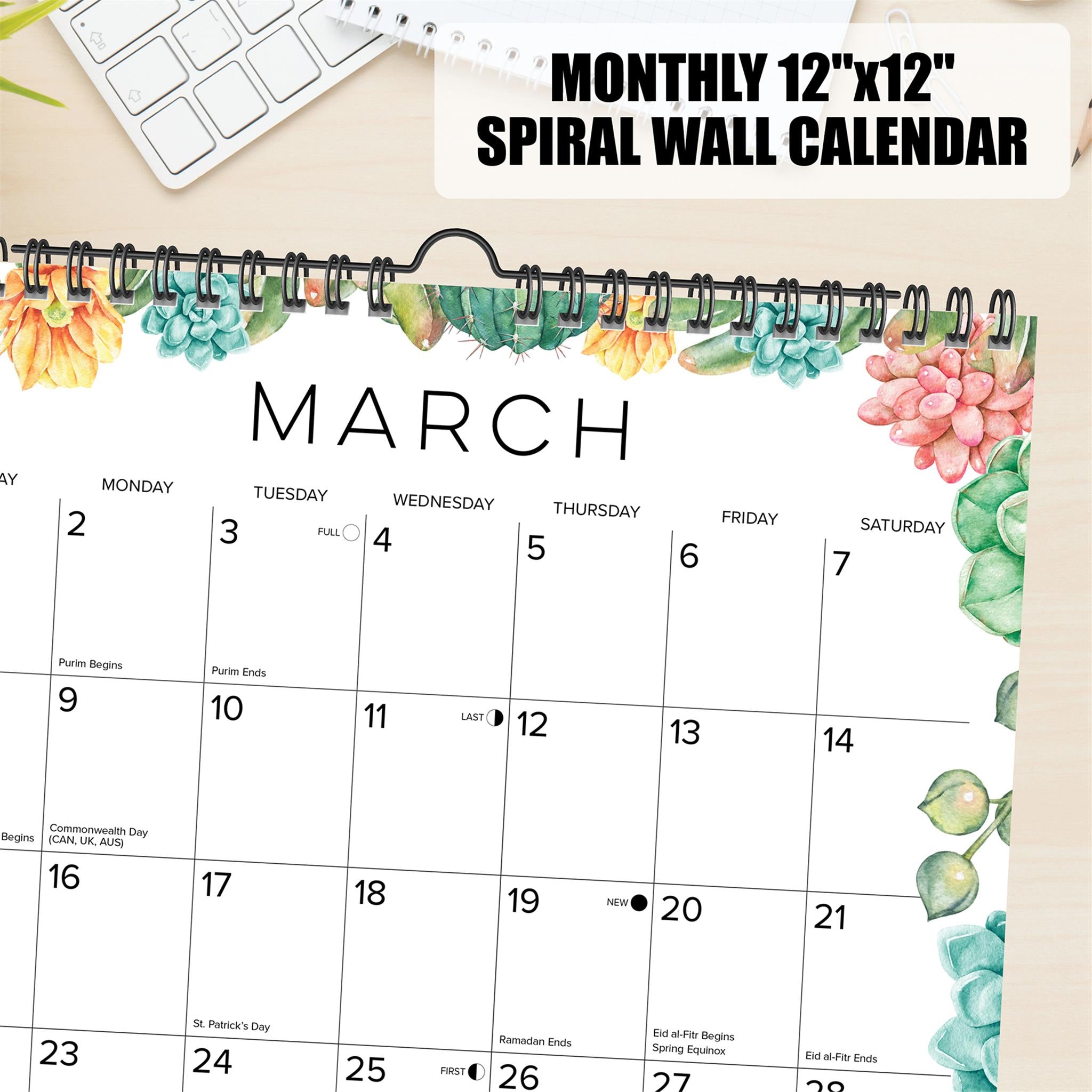 Calendrier mural en spirale Succulentes 2026