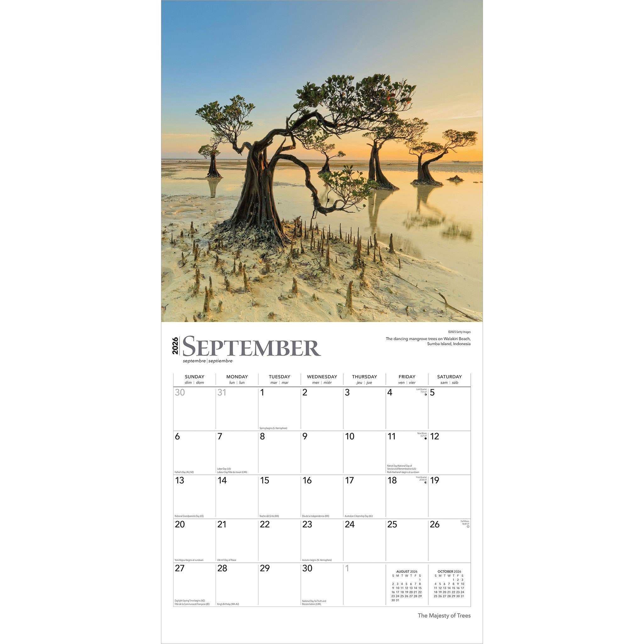 Majesty Of Trees 2026 Wall Calendar - Online Only