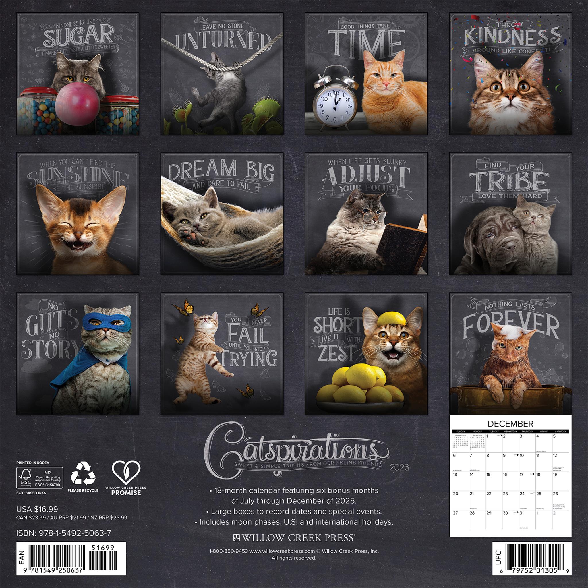 Calendrier mural Catspirations 2026