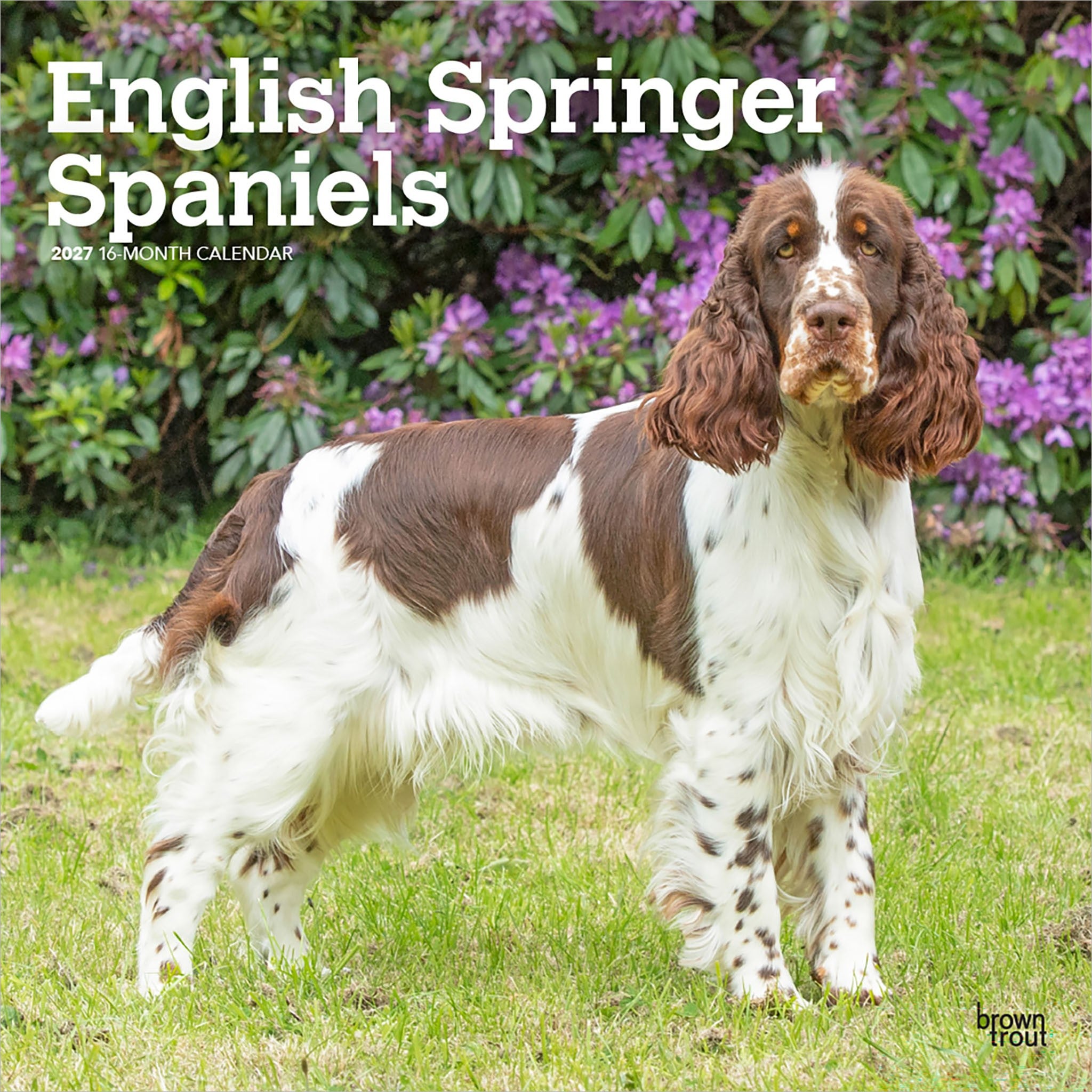 English Springer Spaniels 2027 Wall Calendar