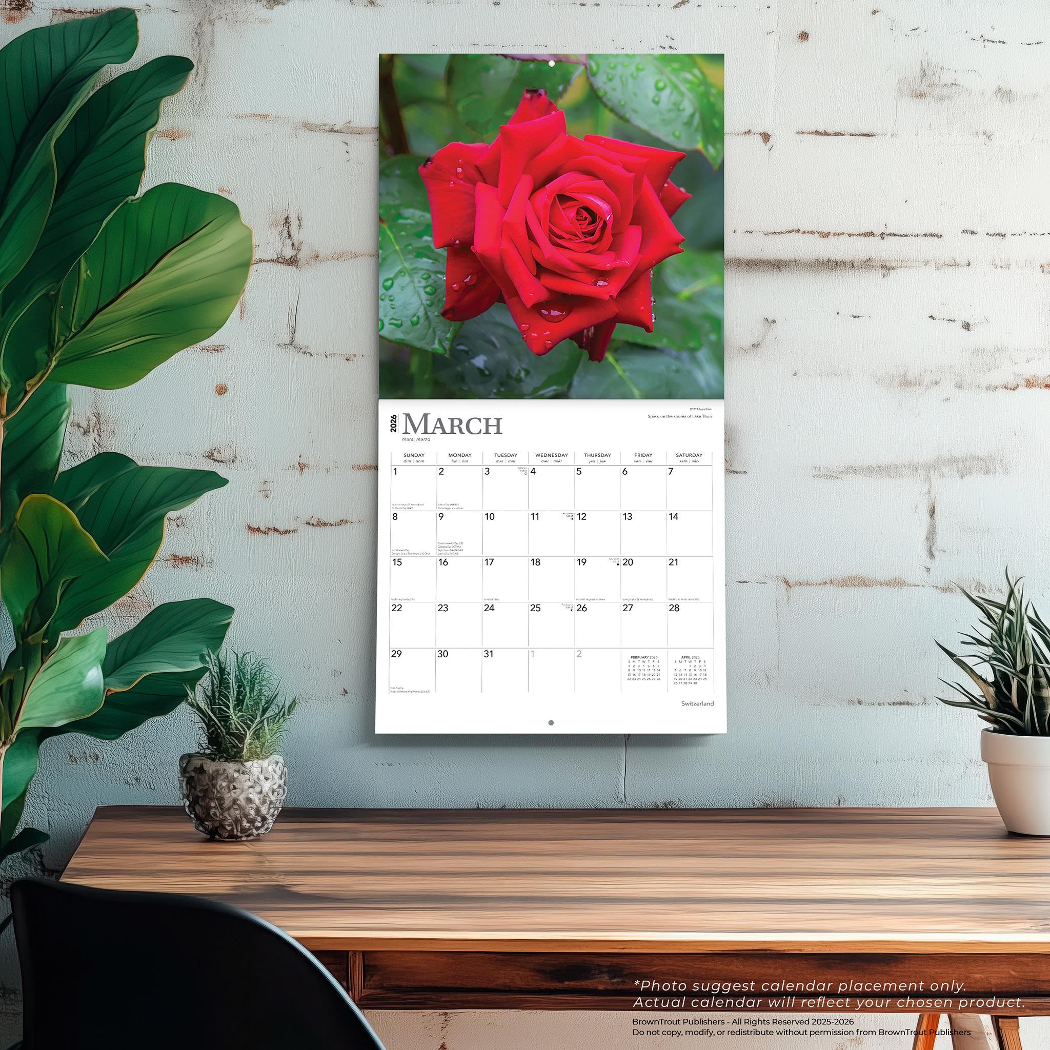 Roses 2026 Wall Calendar - Online Only