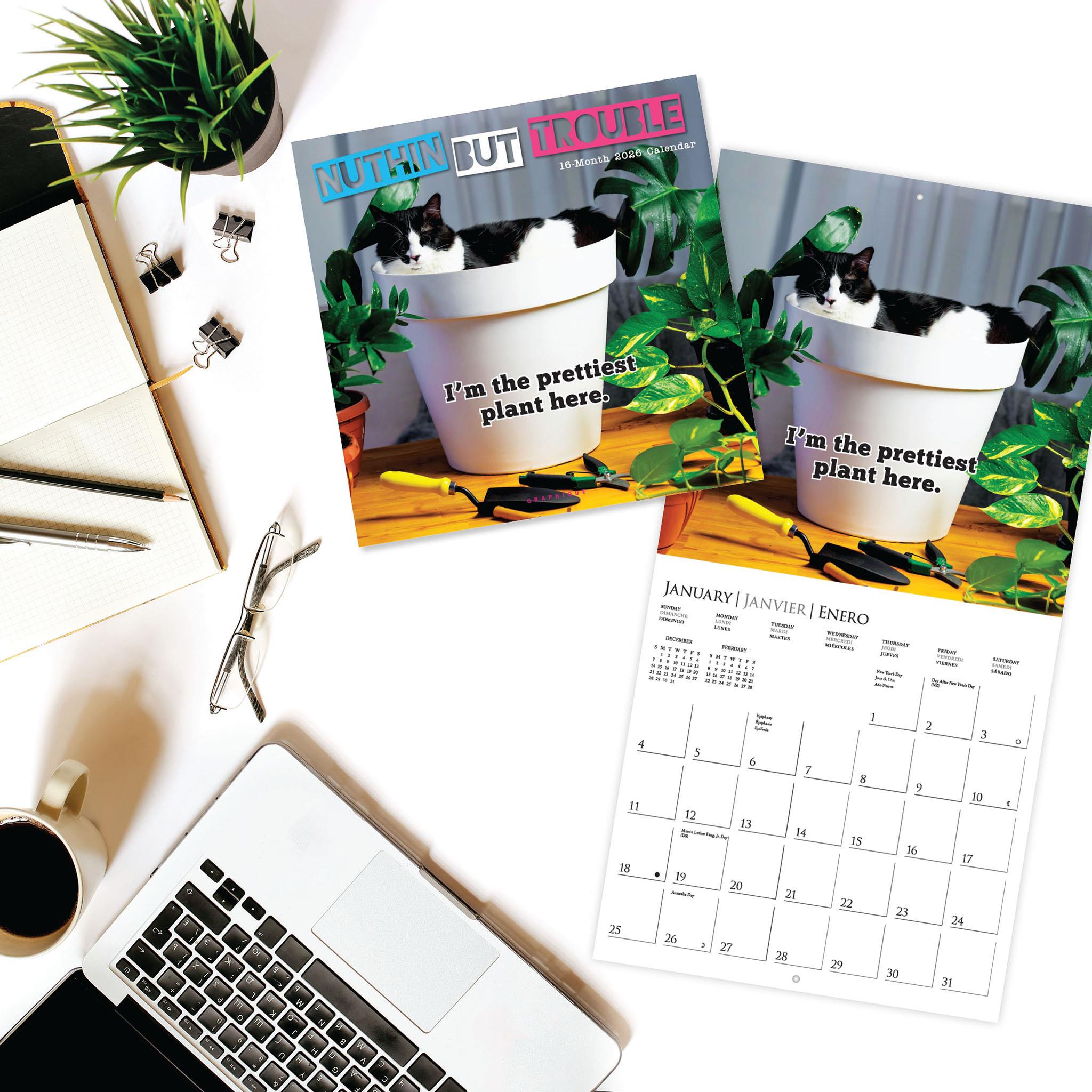 Calendrier mural 2026 « Que des ennuis » - Disponible uniquement en ligne