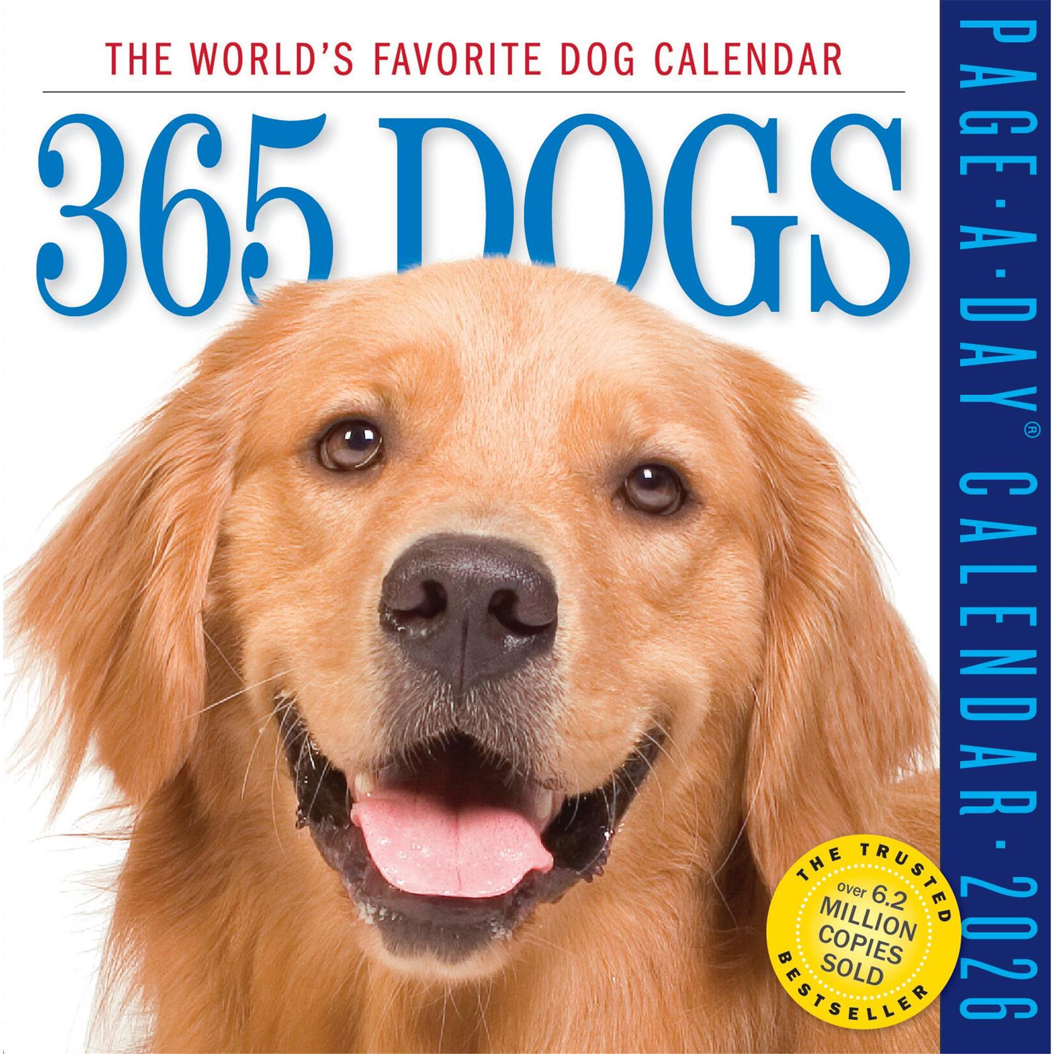 Dogs 365 2026 Box Calendar