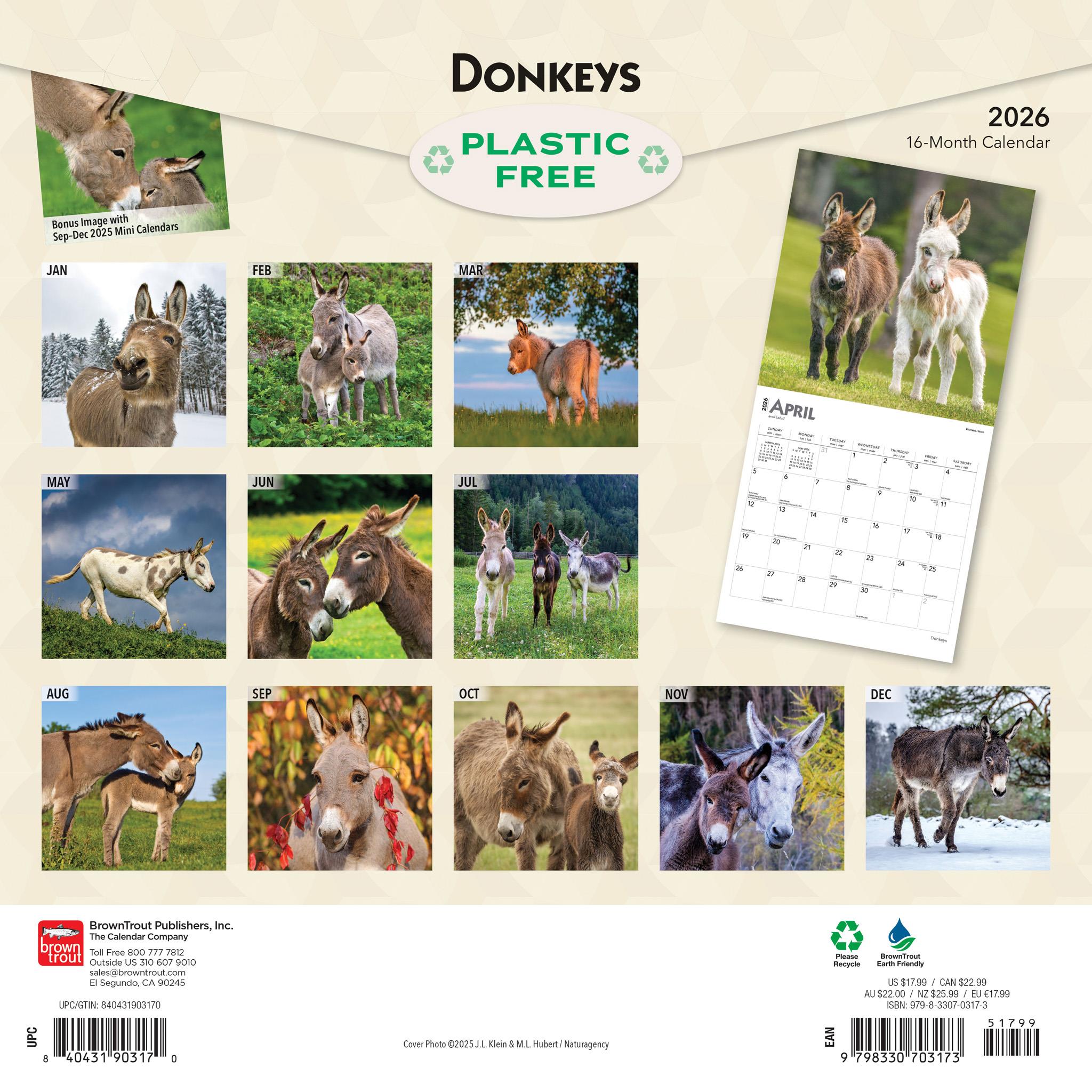 Donkeys 2026 Wall Calendar