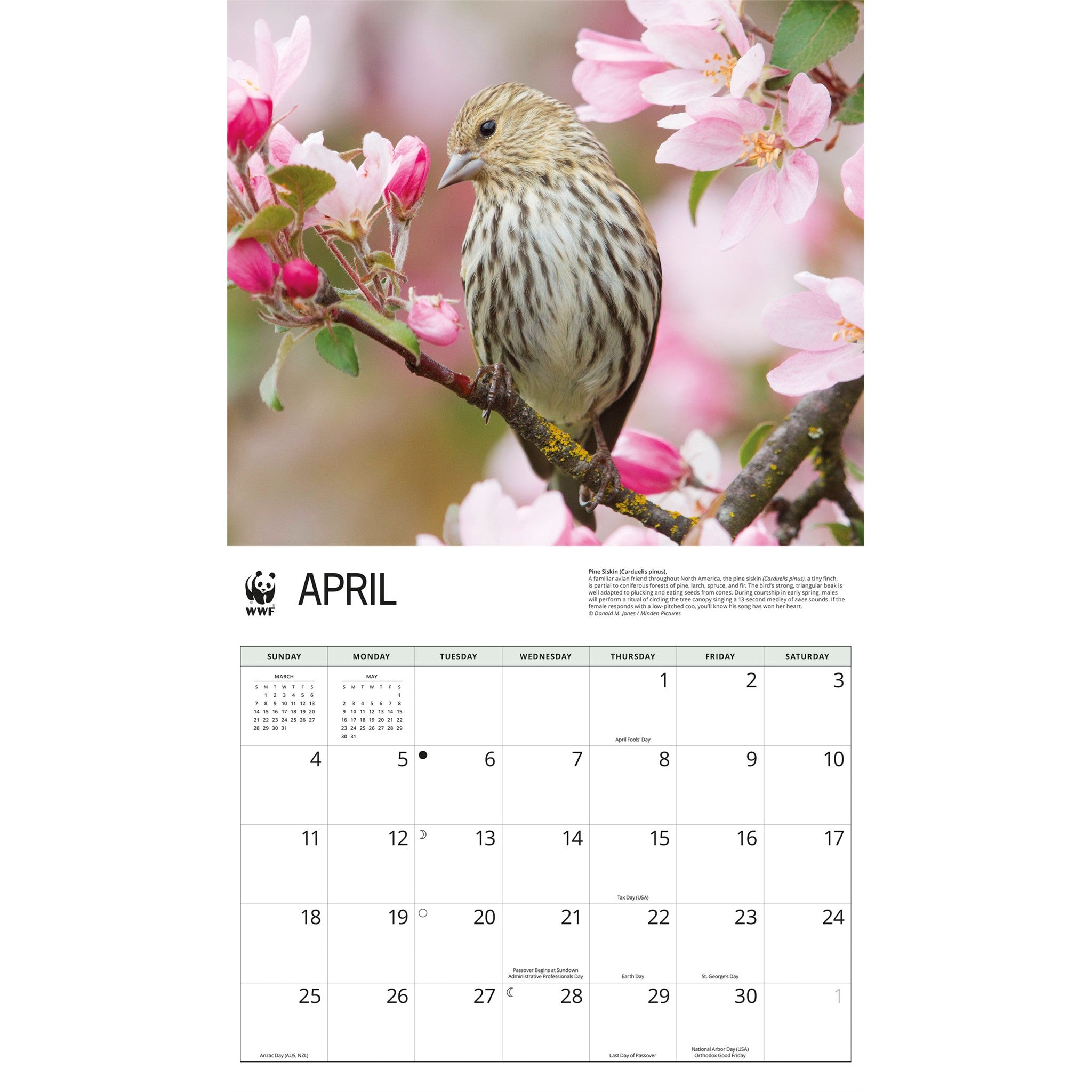 Calendrier mural 2027 Chants d'oiseaux du WWF