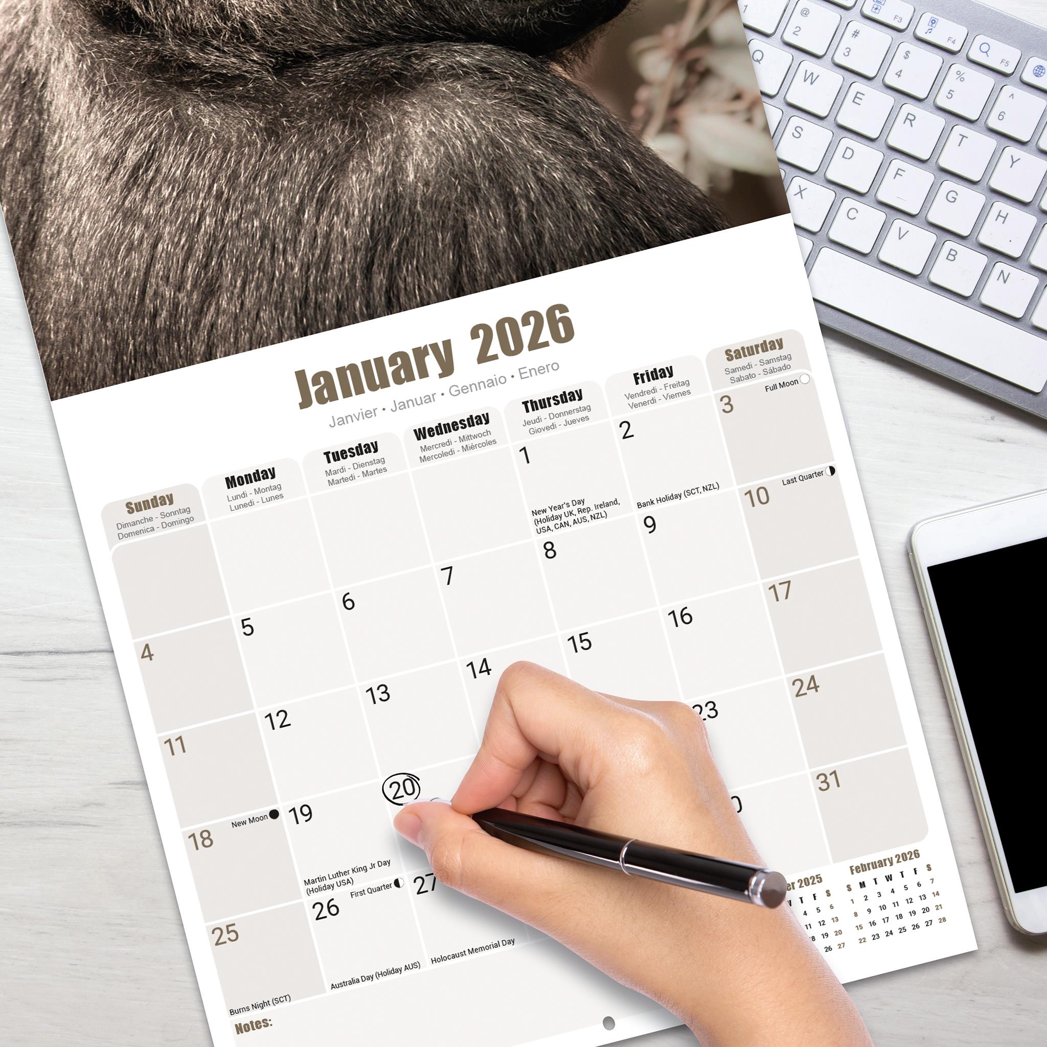 Calendrier mural Apes 2026 - Disponible uniquement en ligne